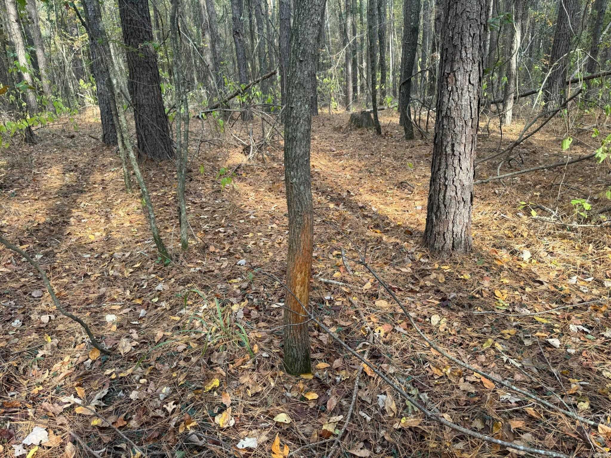 000 I30 Saginaw Ar, Lot#wp003 Property Photo 6