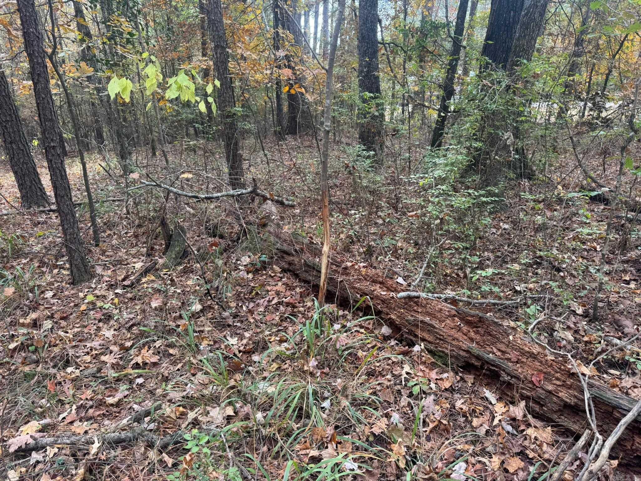000 I30 Saginaw Ar, Lot#wp003 Property Photo 7