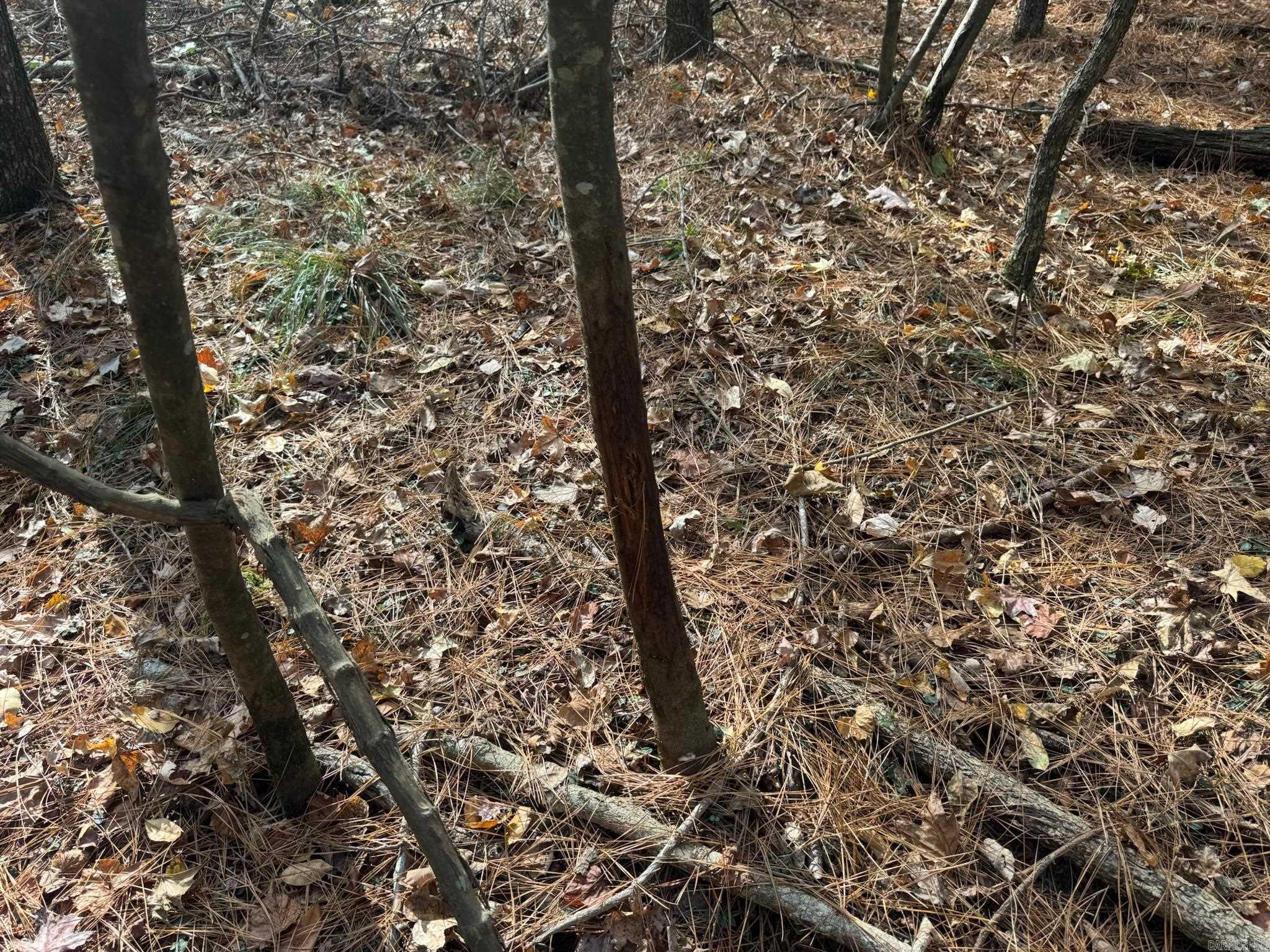000 I30 Saginaw Ar, Lot#wp003 Property Photo 8