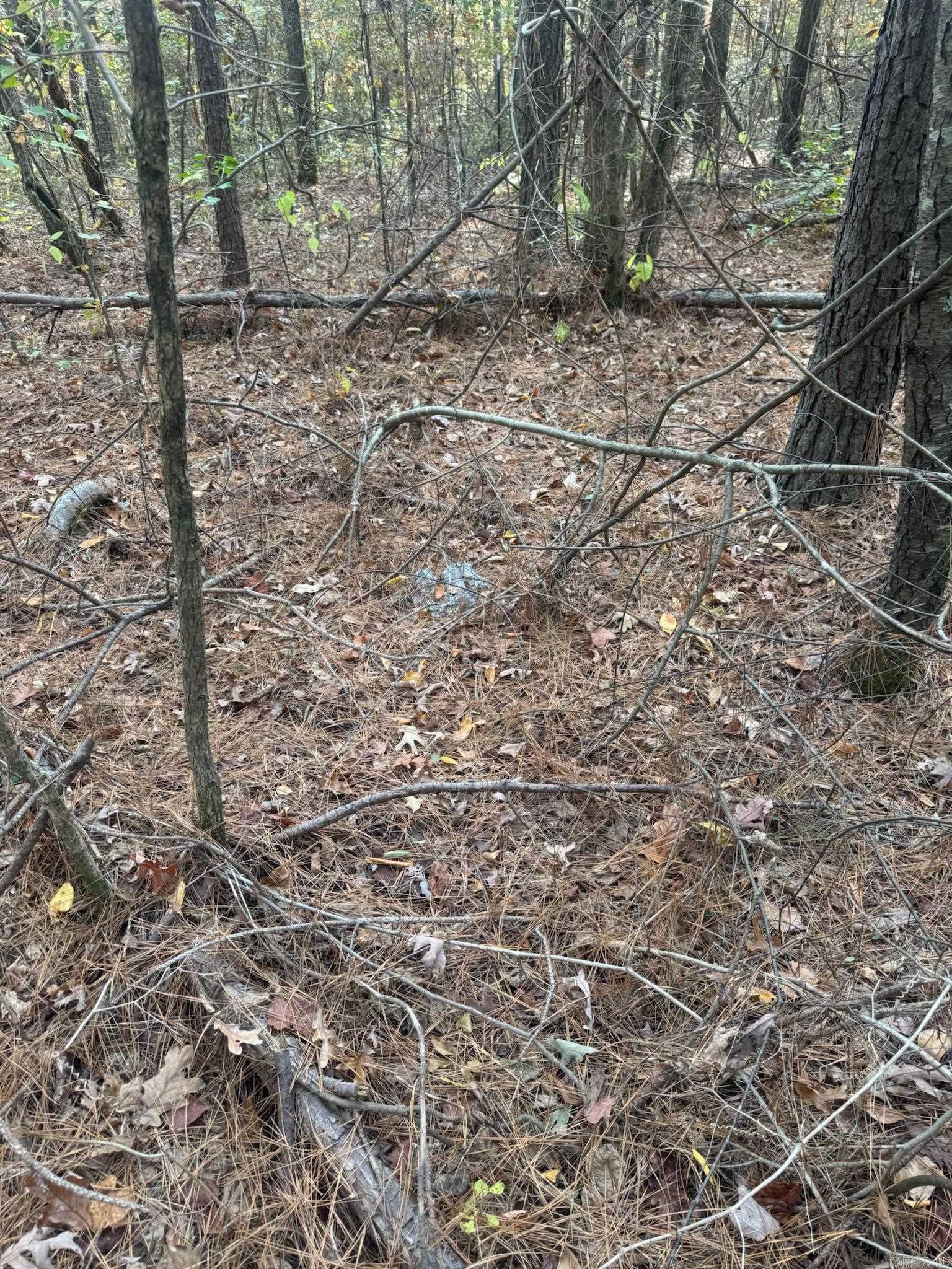 000 I30 Saginaw Ar, Lot#wp003 Property Photo 10