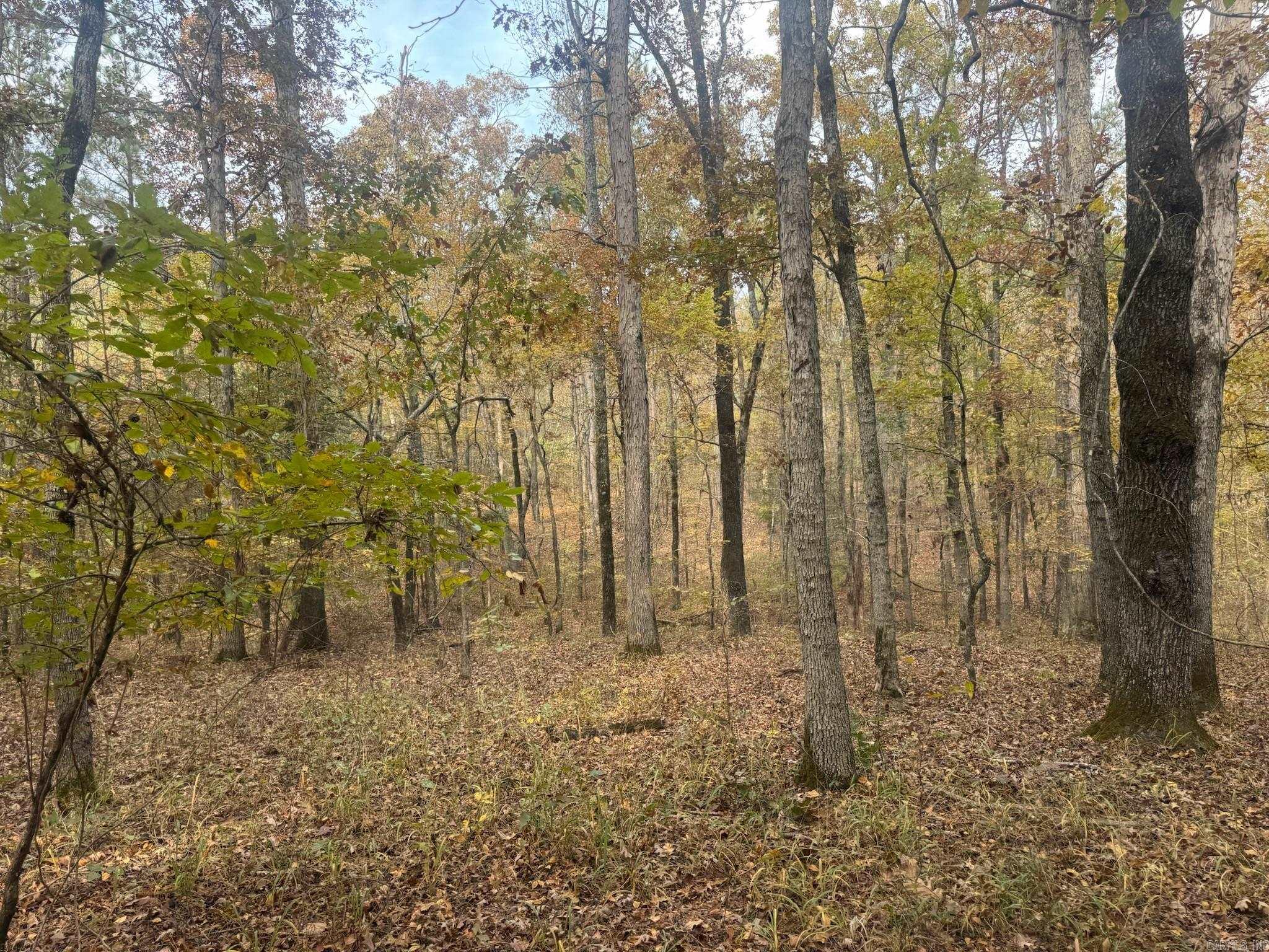 000 I30 Saginaw Ar, Lot#wp003 Property Photo 11