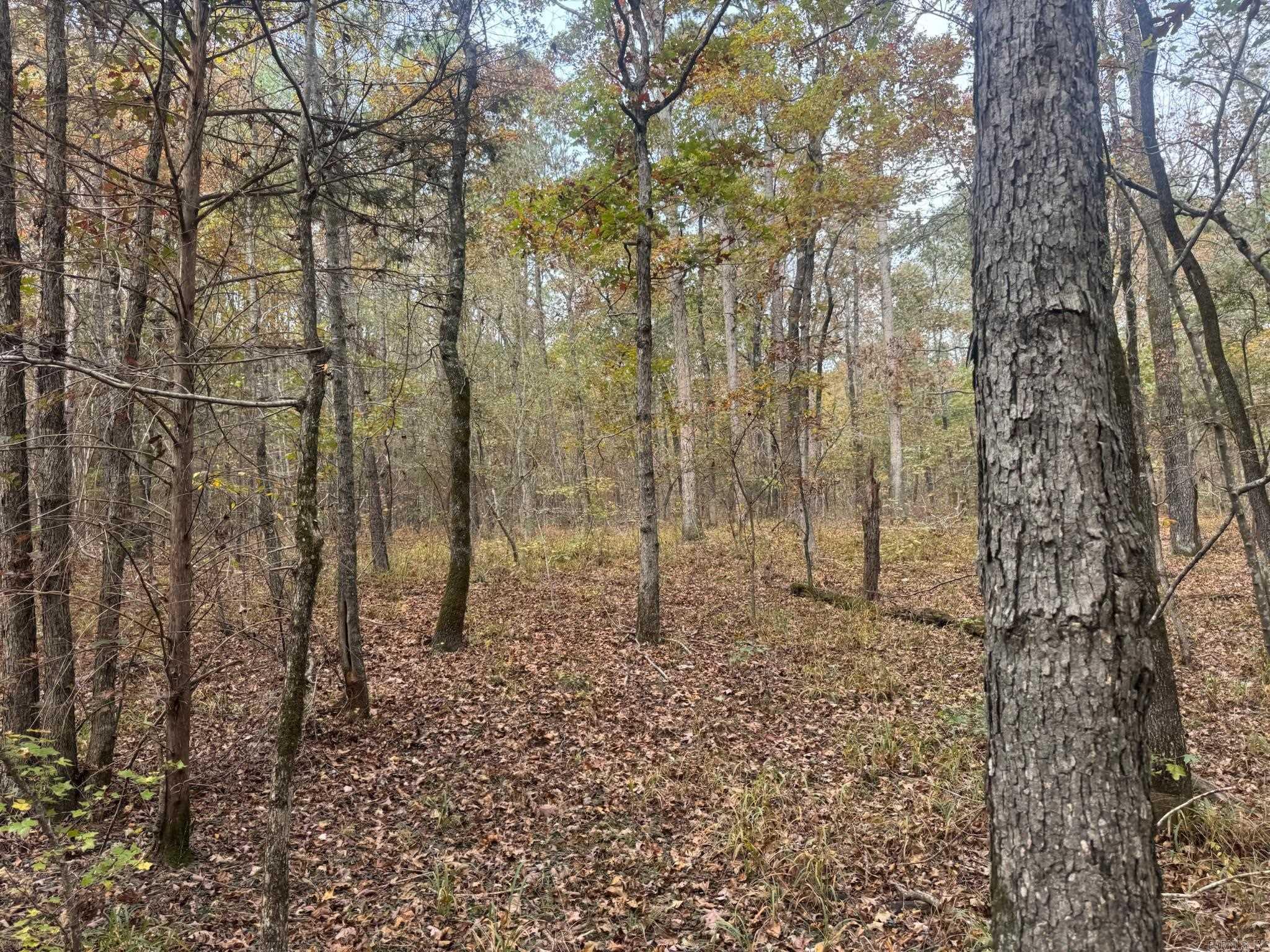 000 I30 Saginaw Ar, Lot#wp003 Property Photo 13