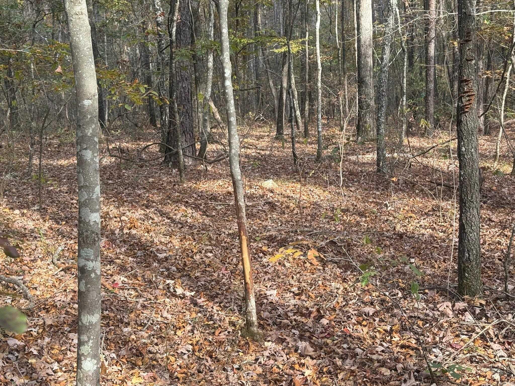 000 I30 Saginaw Ar, Lot#wp003 Property Photo 14