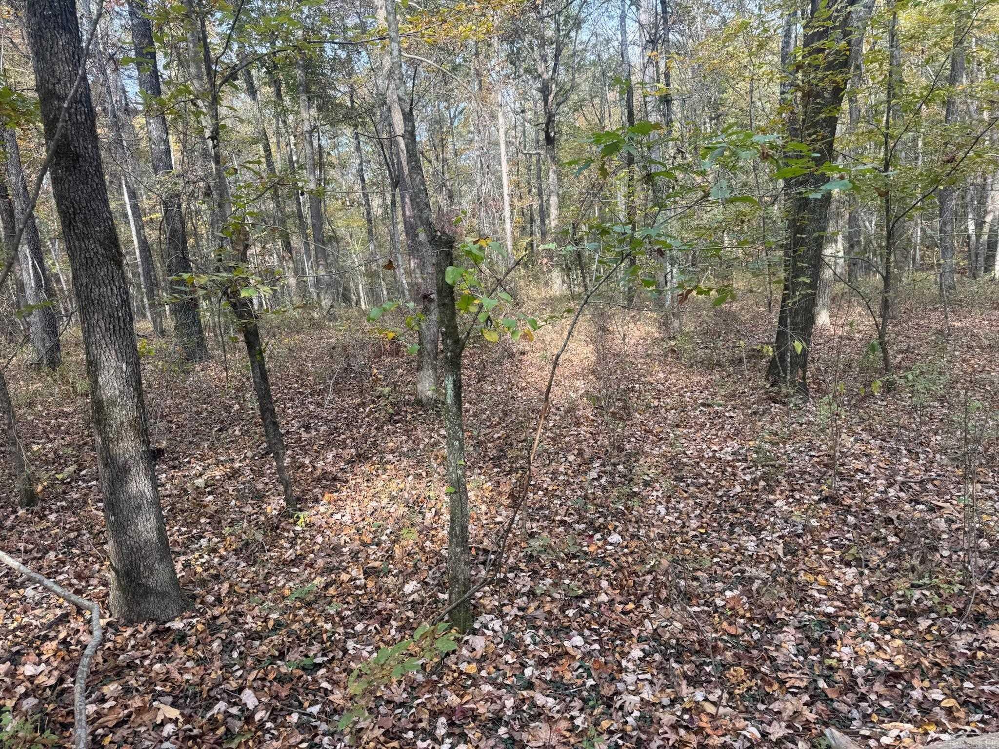 000 I30 Saginaw Ar, Lot#wp003 Property Photo 15