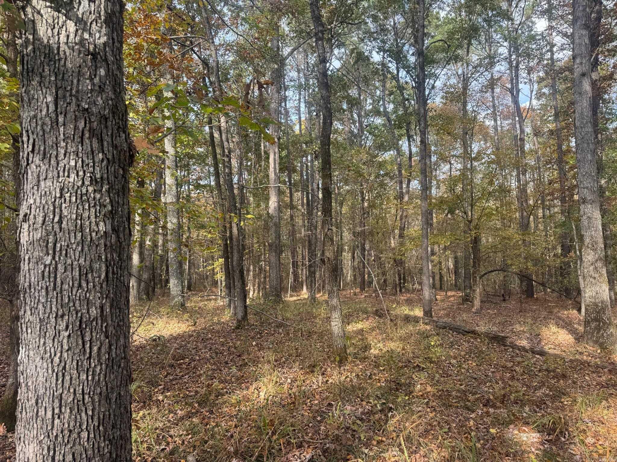 000 I30 Saginaw Ar, Lot#wp003 Property Photo 19