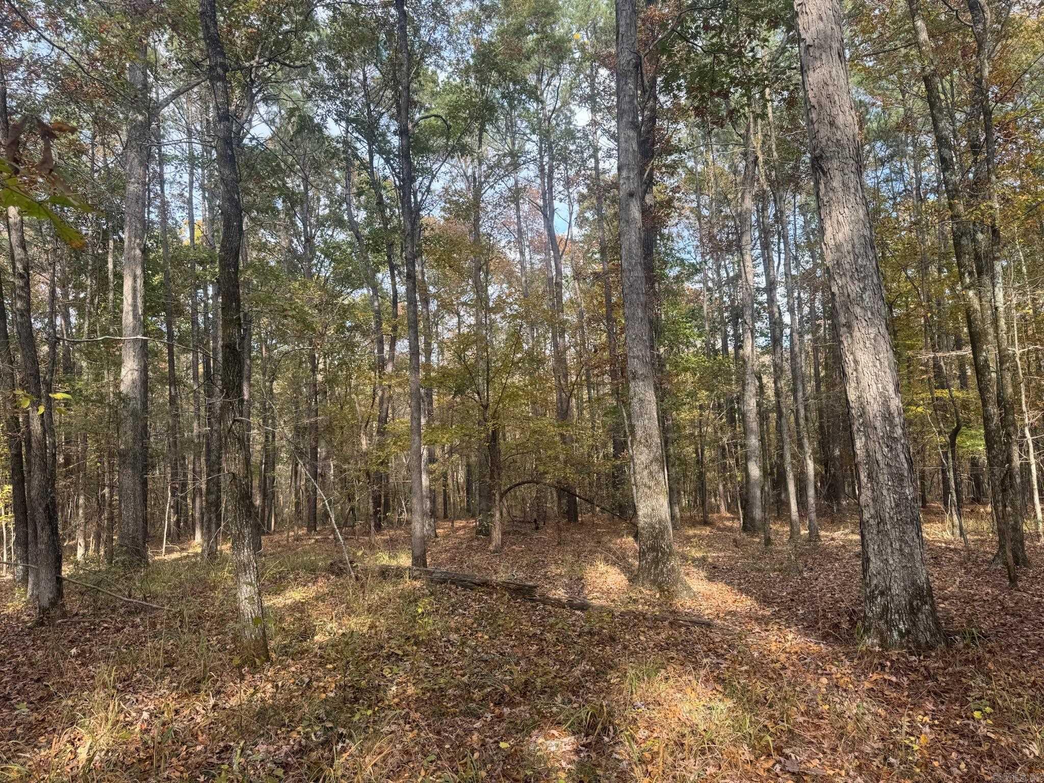 000 I30 Saginaw Ar, Lot#wp003 Property Photo 20