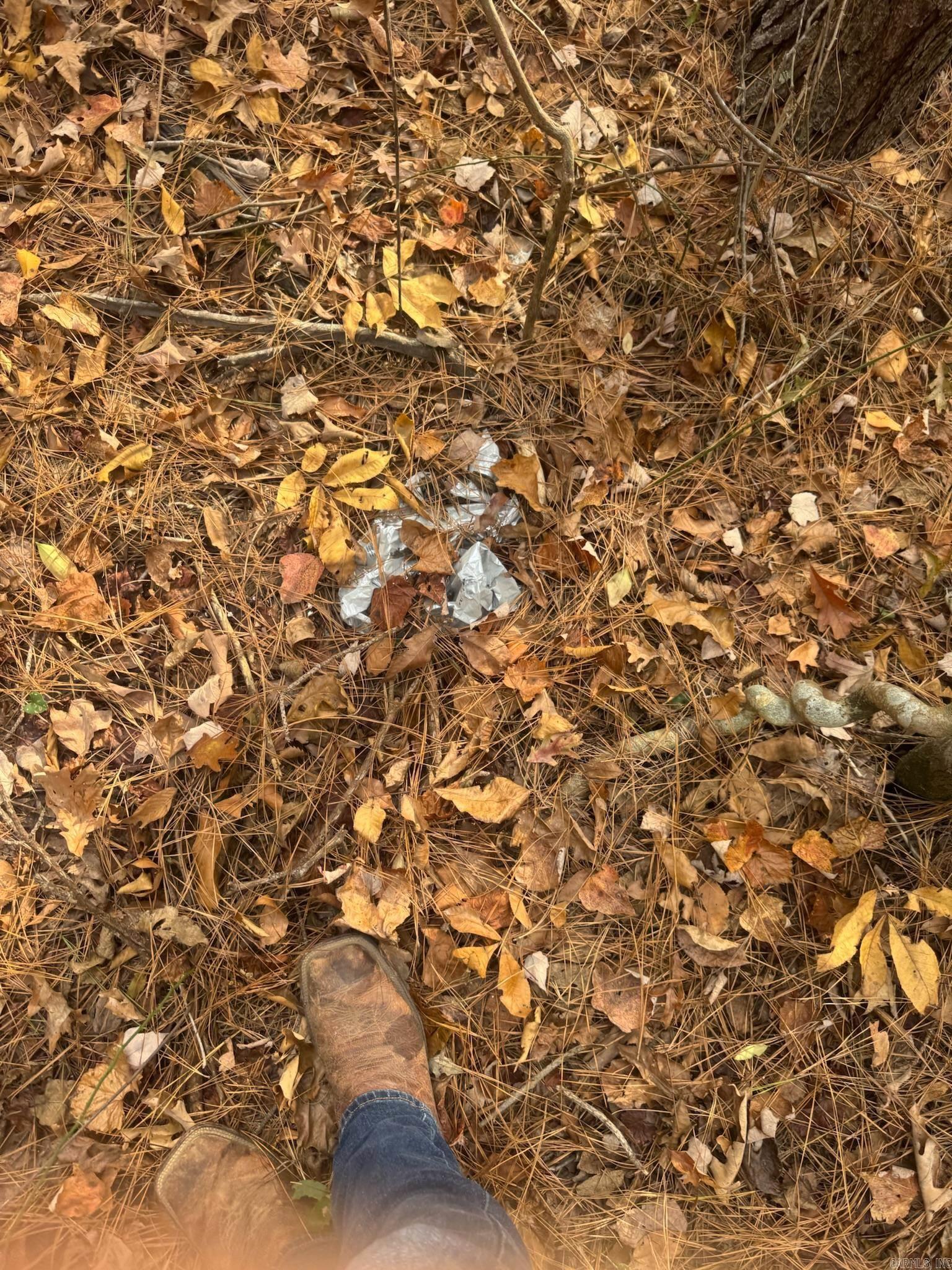 000 I30 Saginaw Ar, Lot#wp003 Property Photo 26