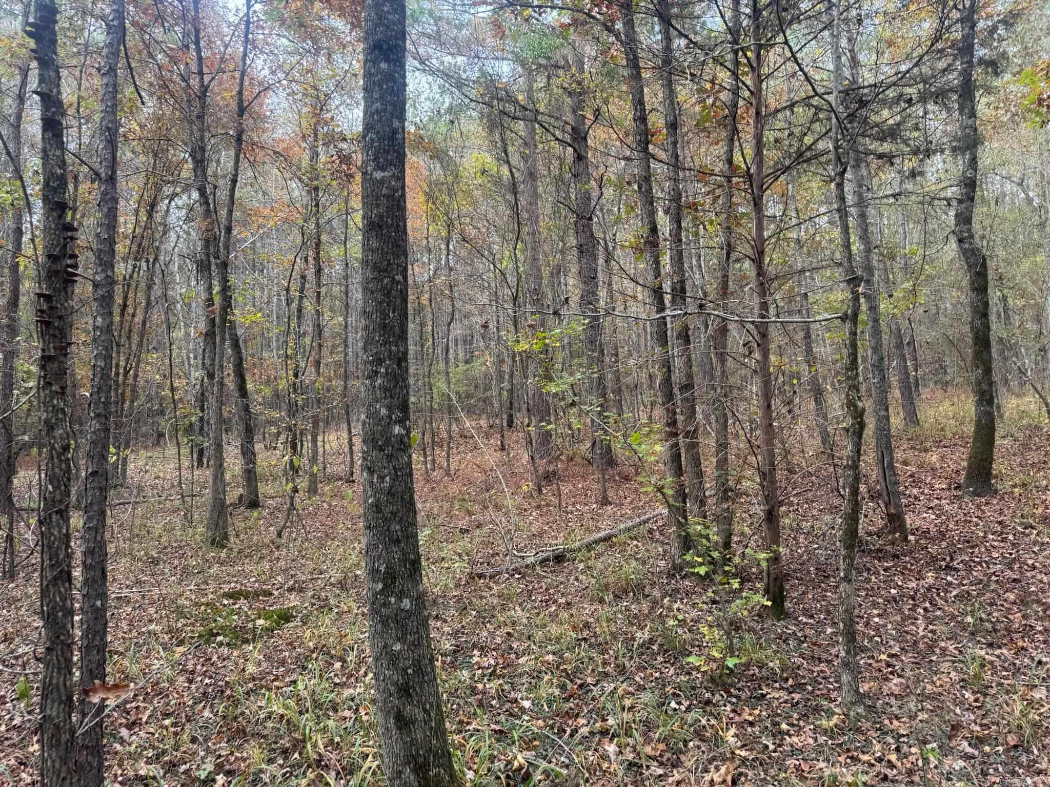 000 I30 Saginaw Ar, Lot#wp003 Property Photo 27