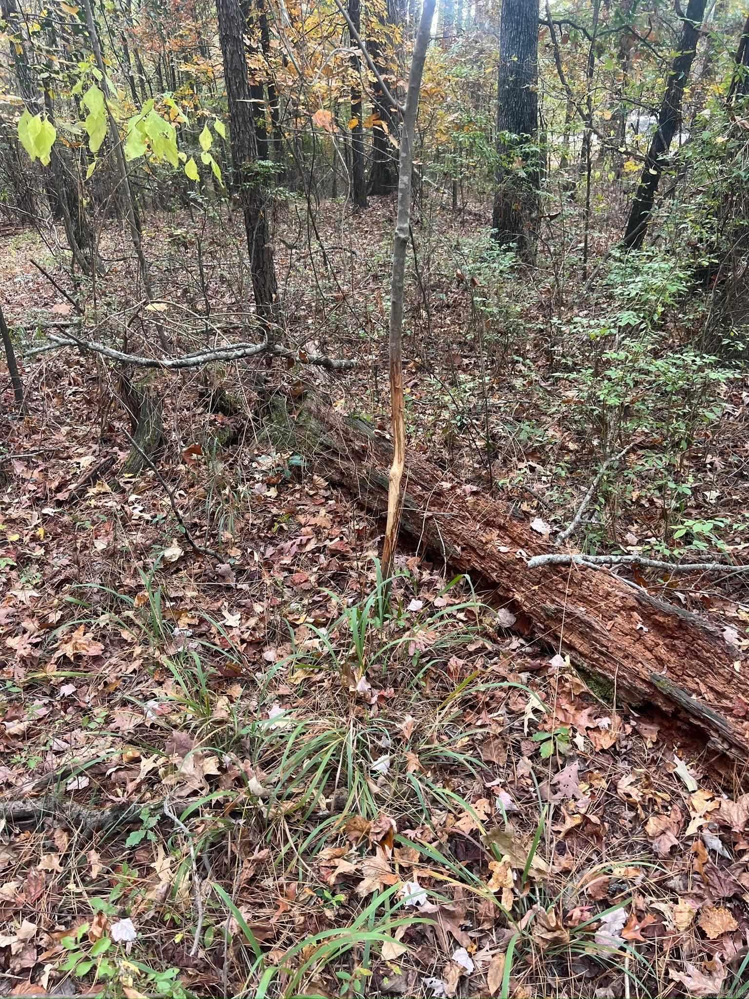 000 I30 Saginaw Ar, Lot#wp003 Property Photo 29