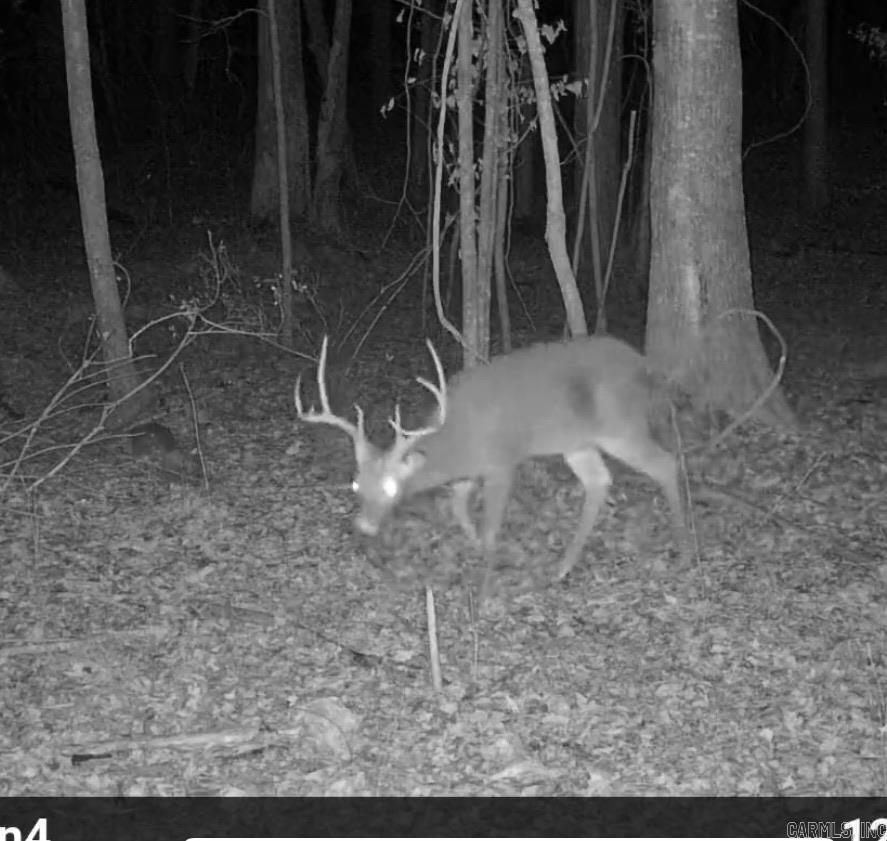 000 I30 Saginaw Ar, Lot#wp003 Property Photo 33
