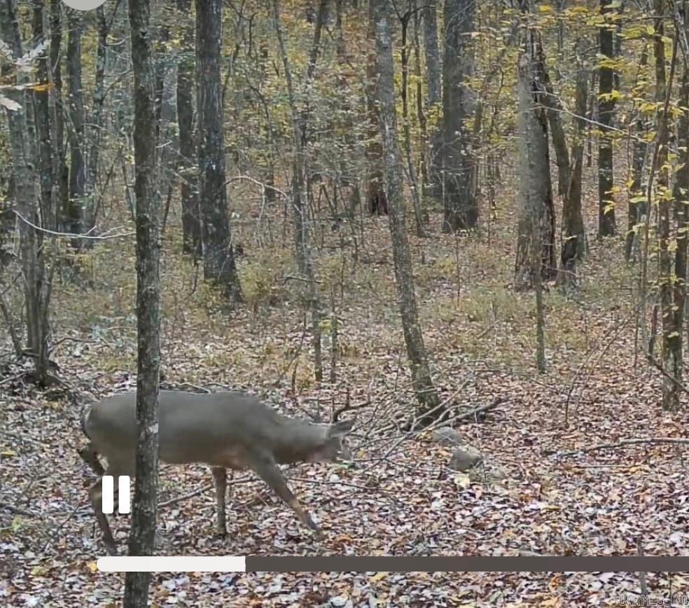 000 I30 Saginaw Ar, Lot#wp003 Property Photo 34