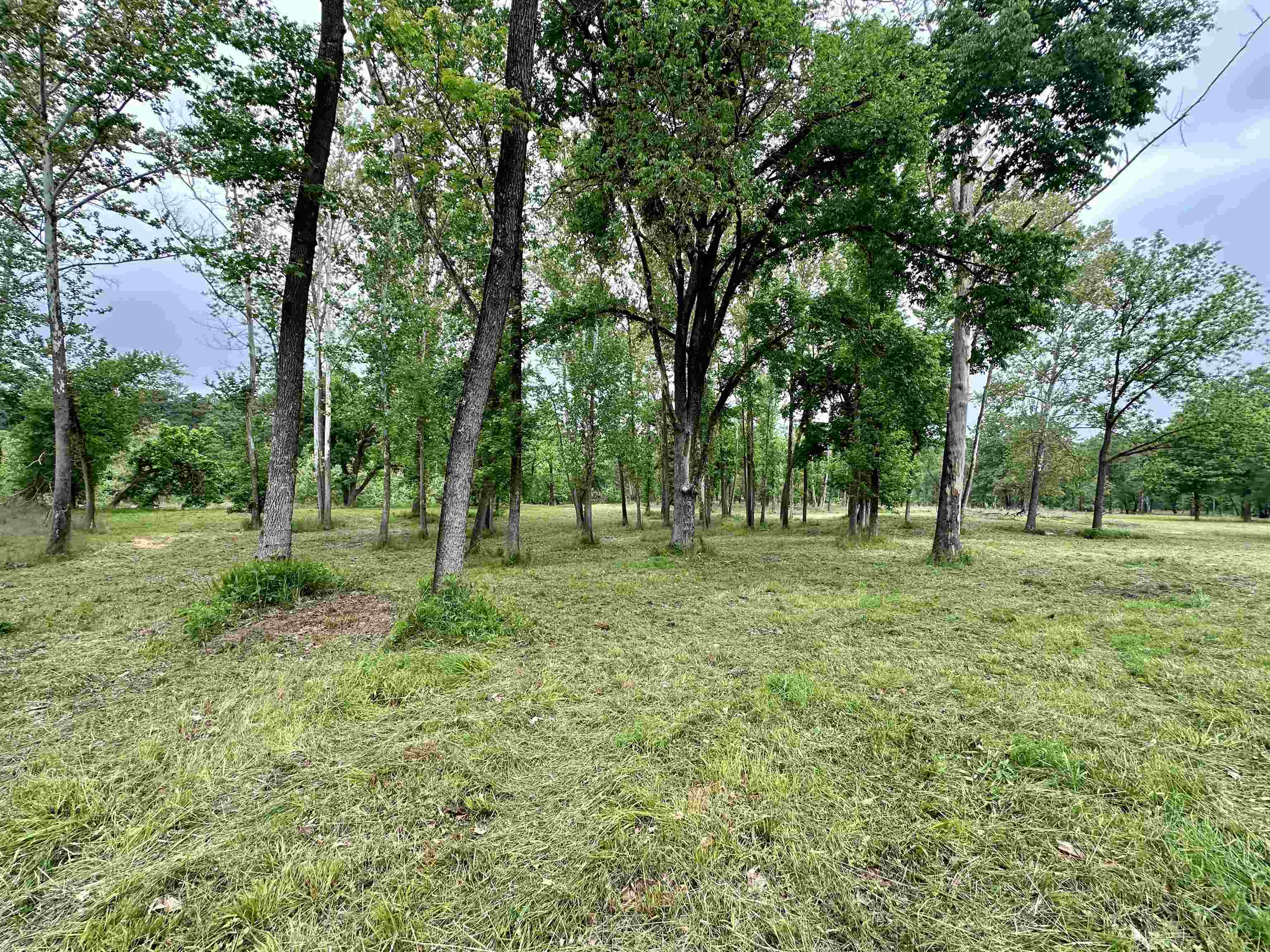 Lot 7 & 8 Apple Tree Lane Property Photo 12