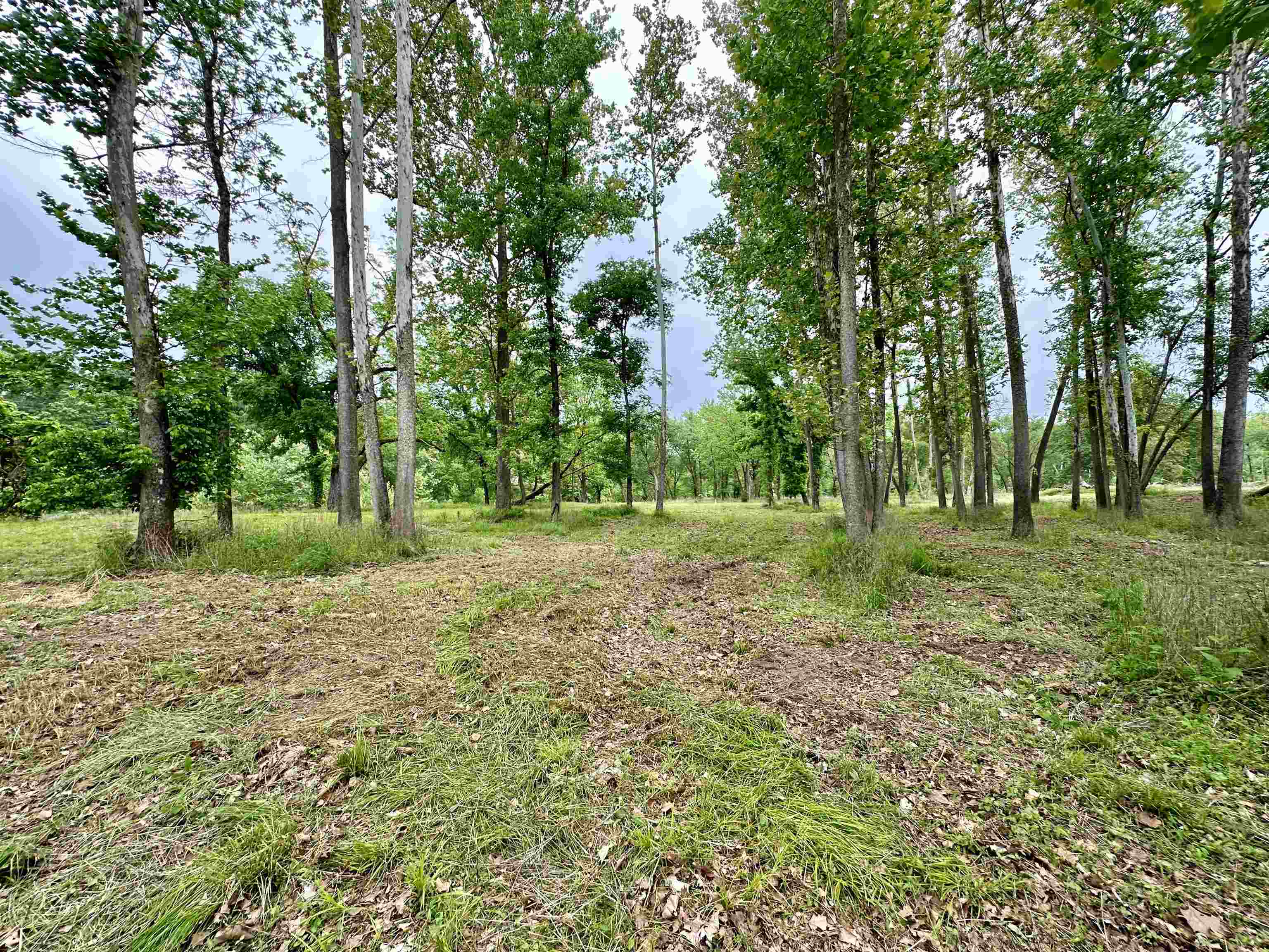 Lot 7 & 8 Apple Tree Lane Property Photo 13