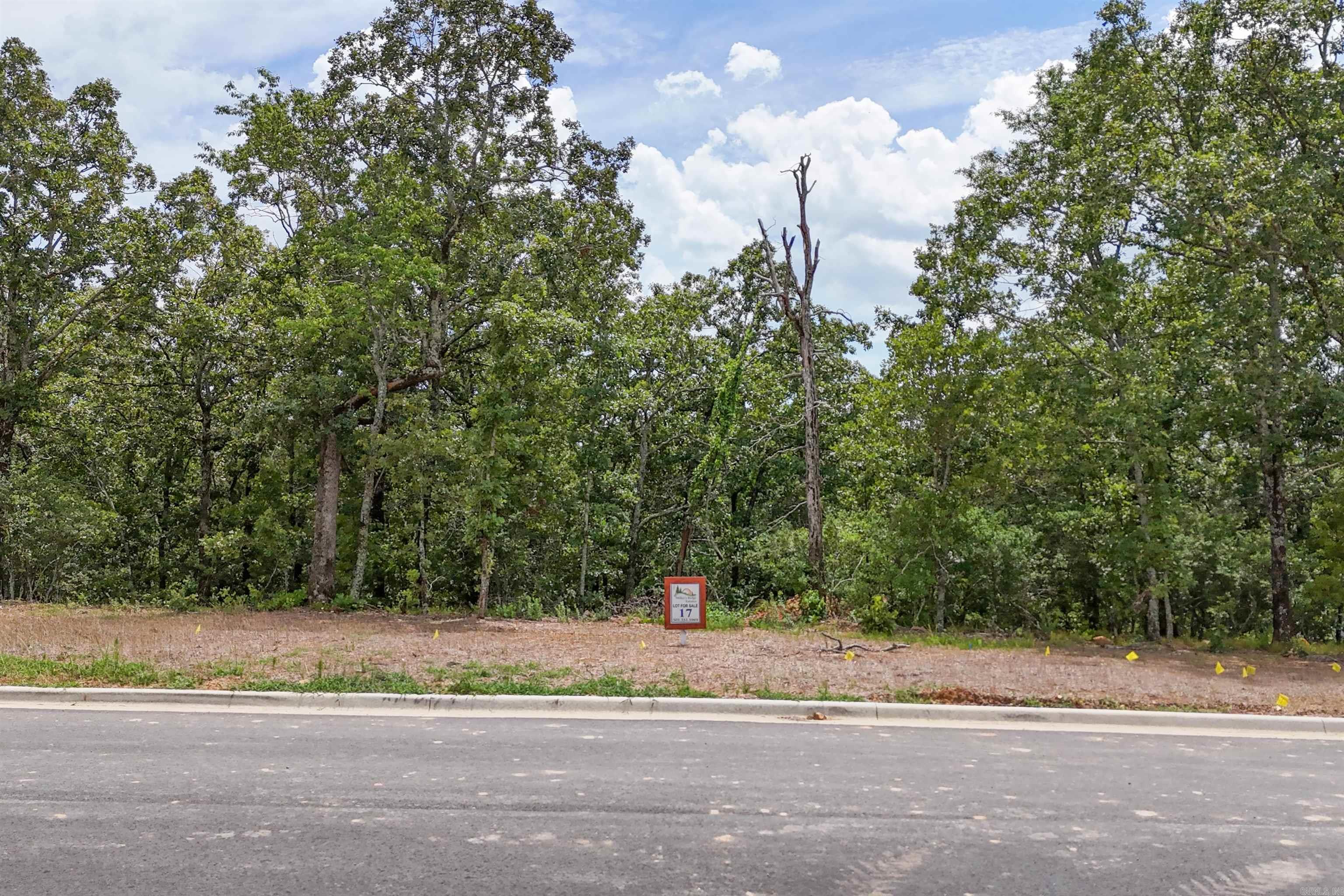Lot 17 Fern Ridge Rd Property Photo 5