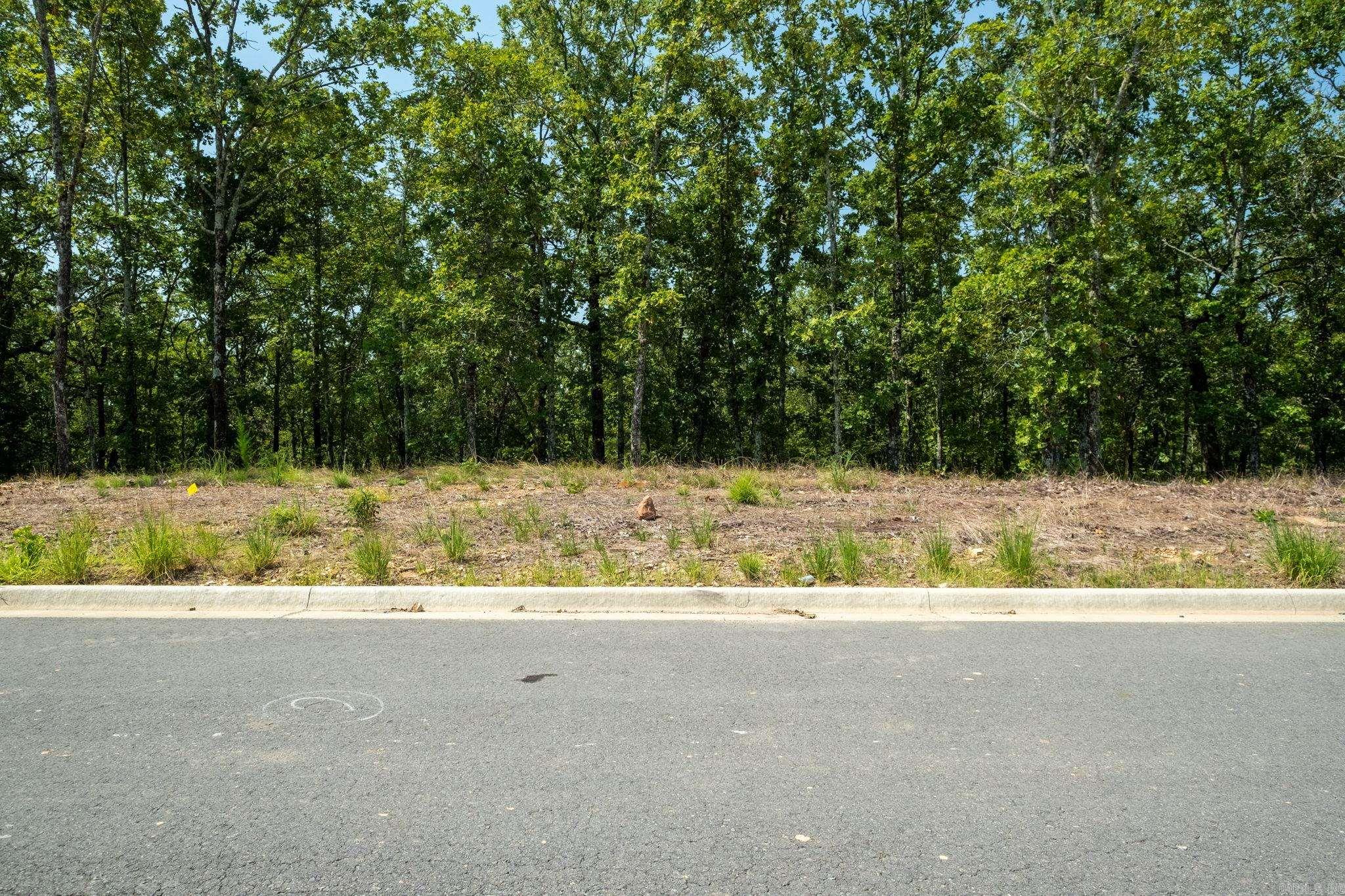 1053 Fern Ridge Rd Lot 31 Property Photo 5