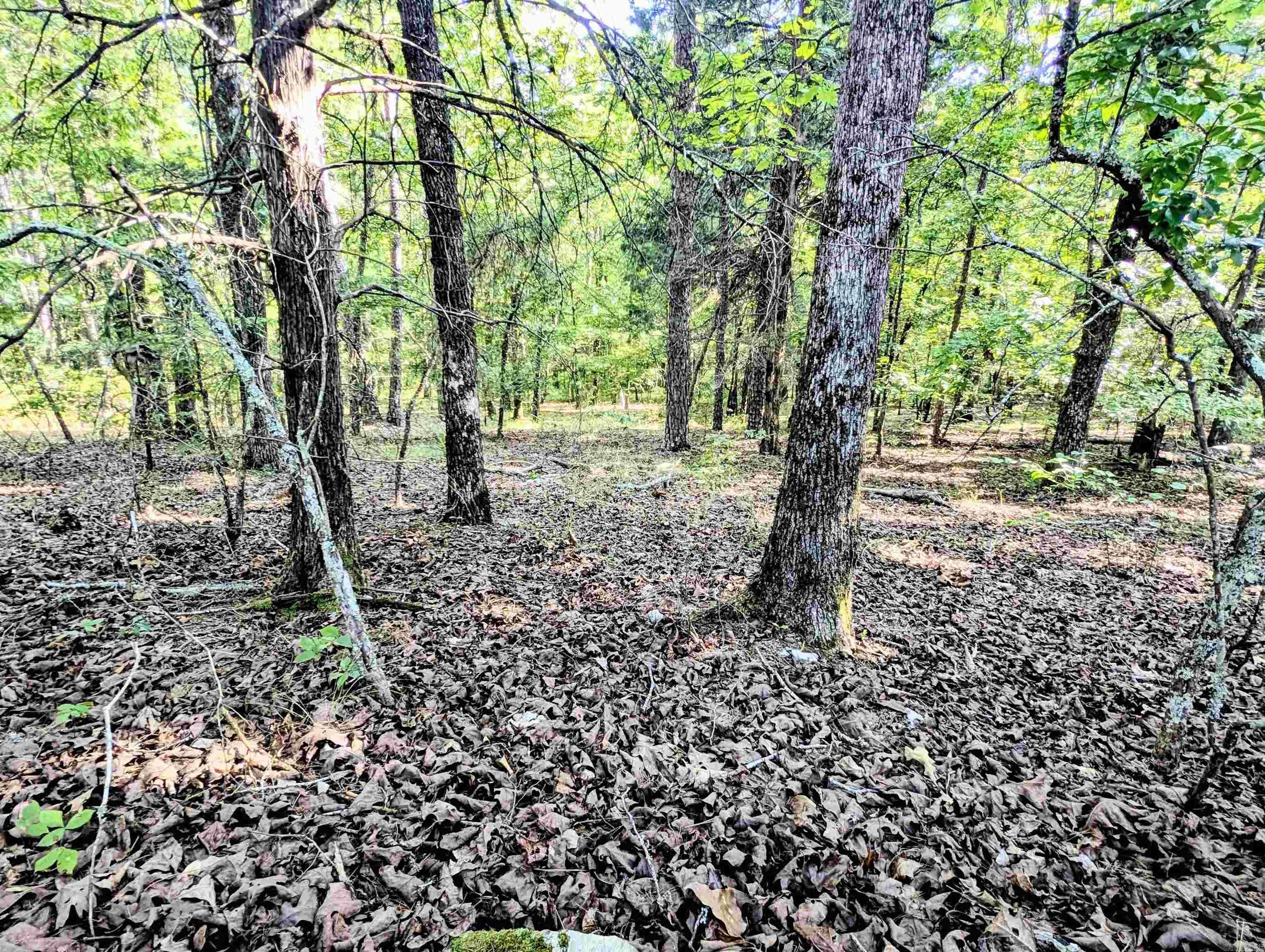 Tbd Casino Way Property Photo 2