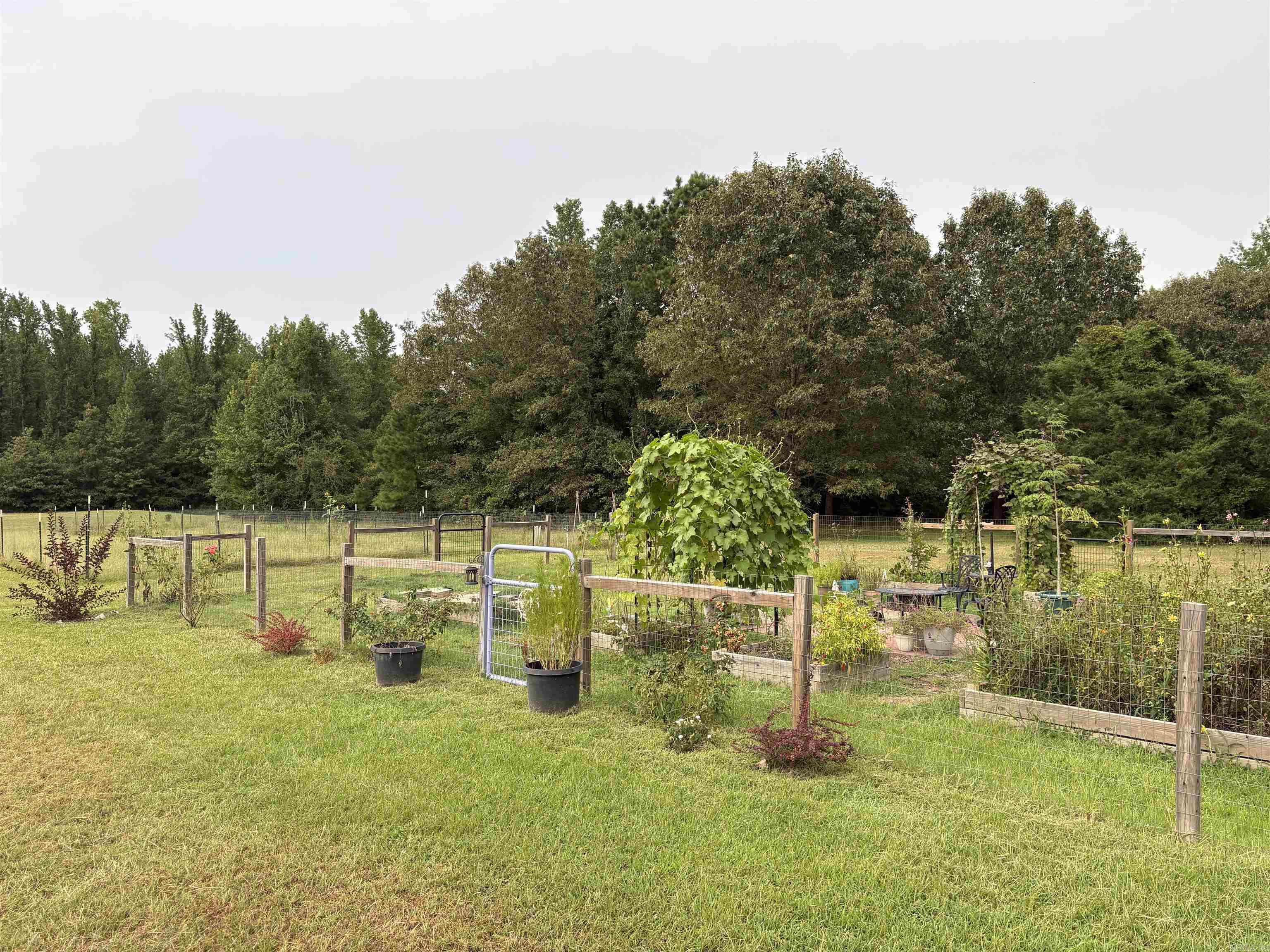 2742 Hwy 51 N Property Photo 24