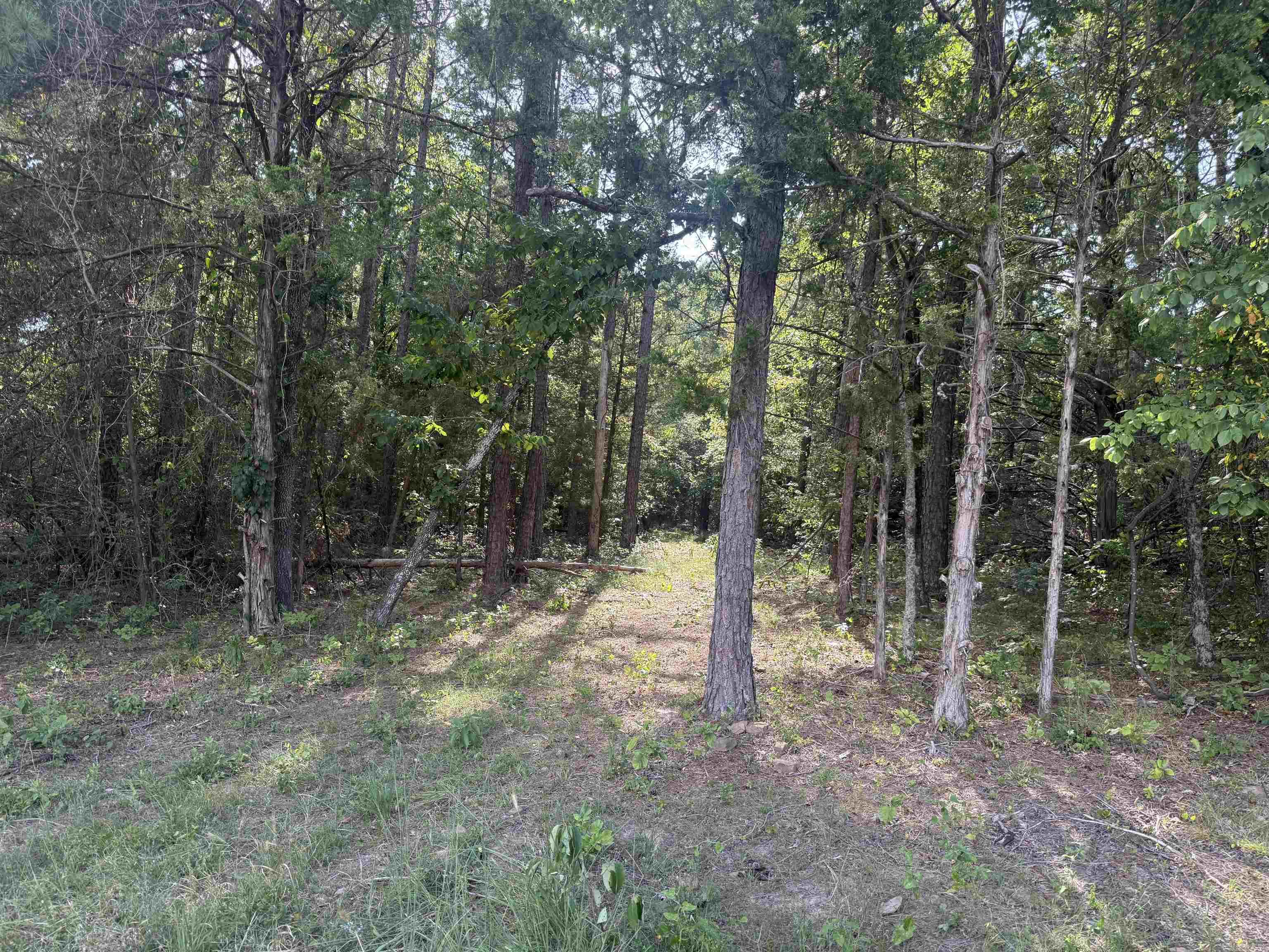 0 Heath Lane Property Photo 8