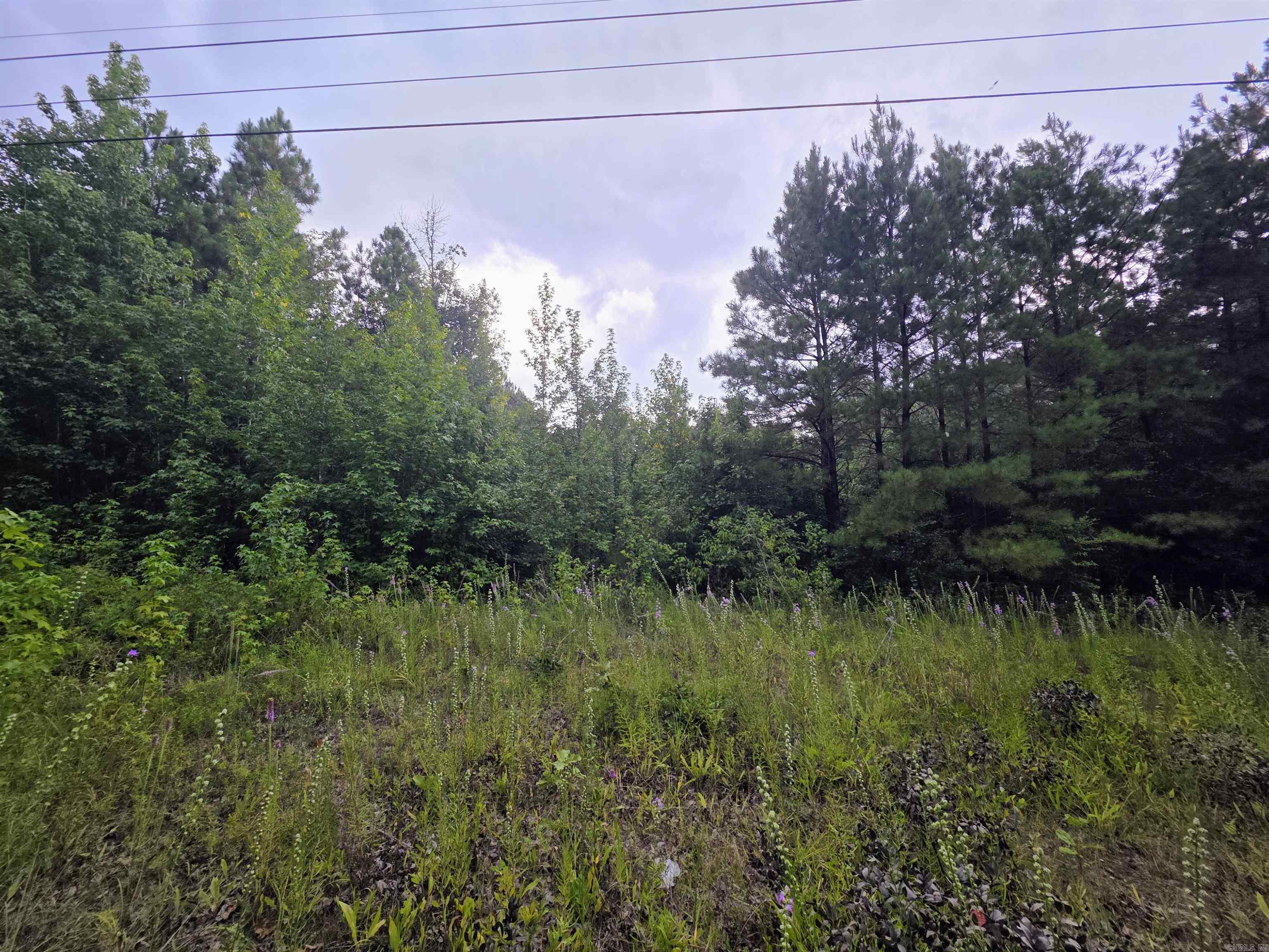 4003 Hwy 54 Property Photo 1