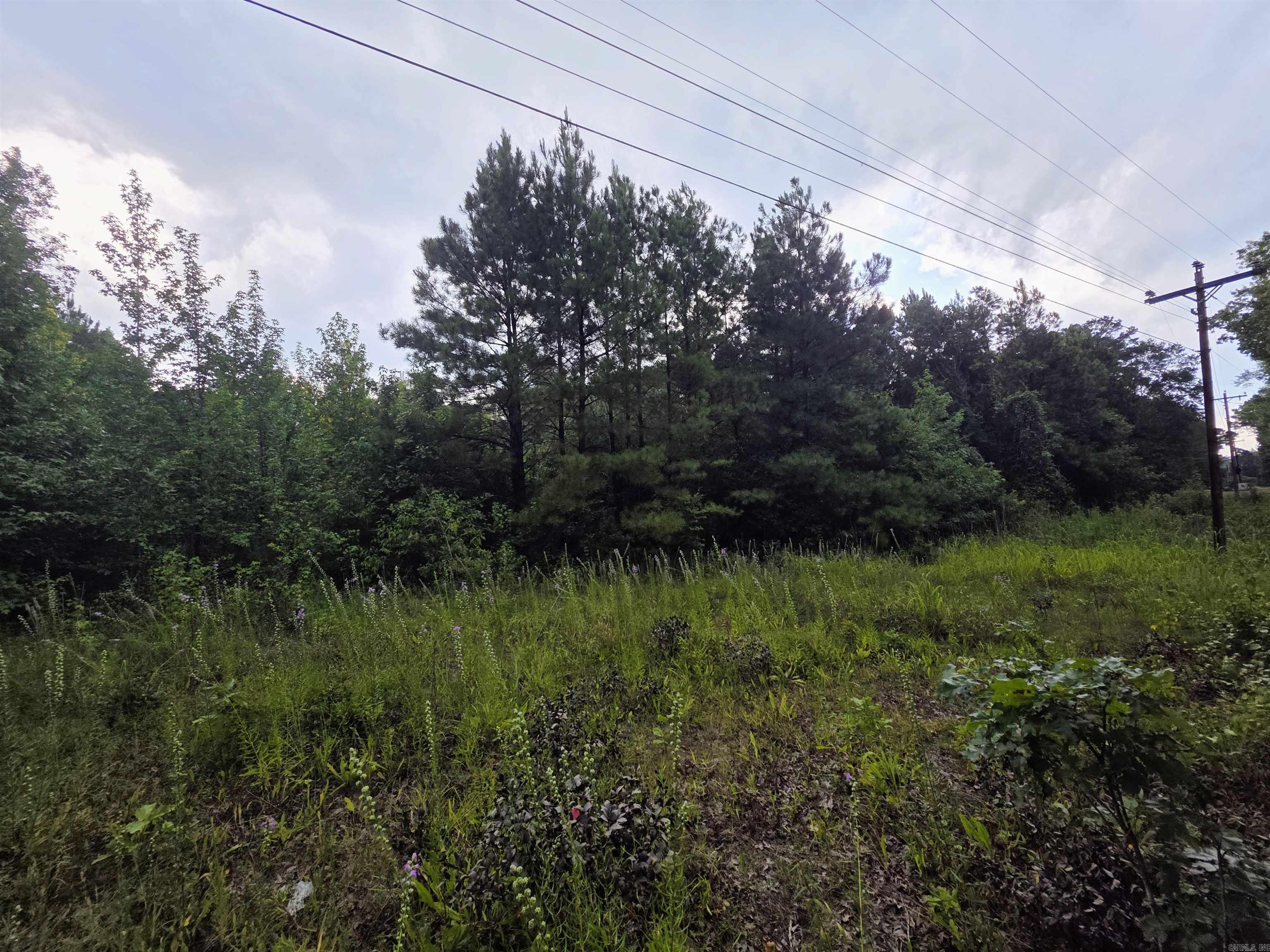 4003 Hwy 54 Property Photo 2