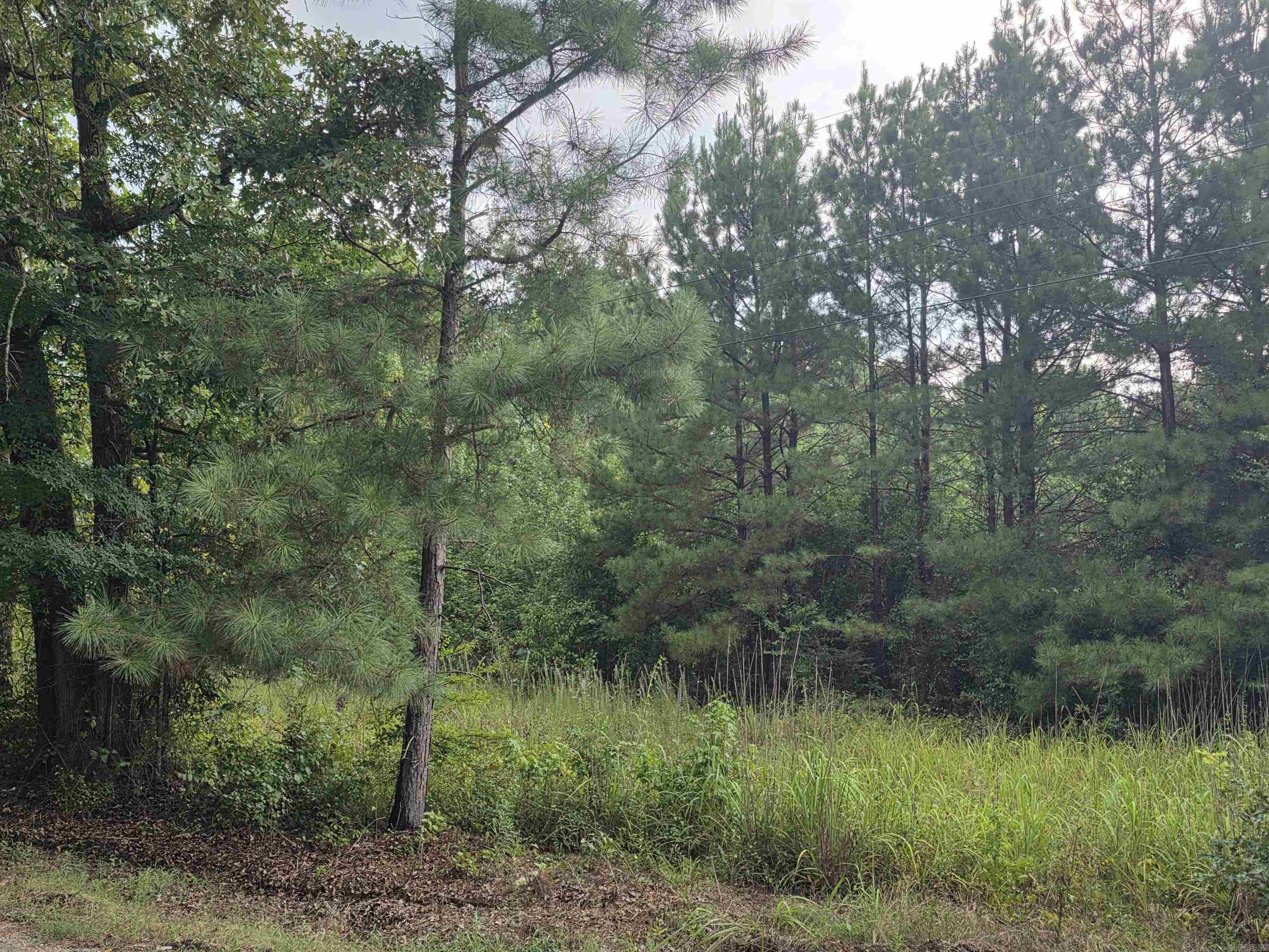 4003 Hwy 54 Property Photo 3