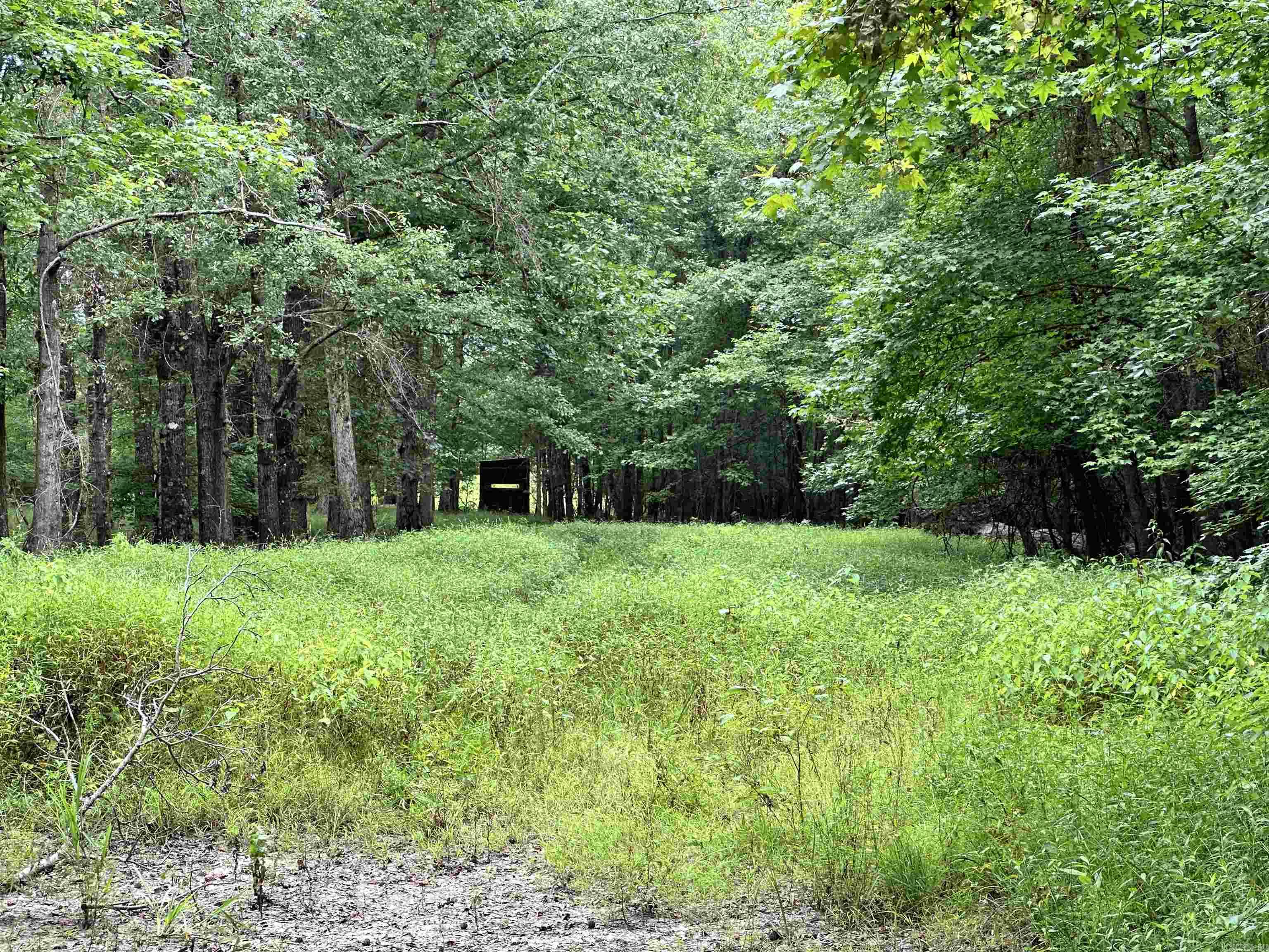 000 Hwy 98 South Highway Property Photo 2