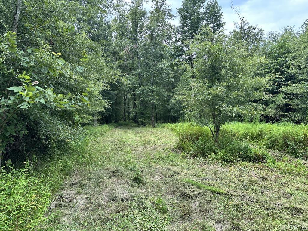 000 Hwy 98 South Highway Property Photo 4