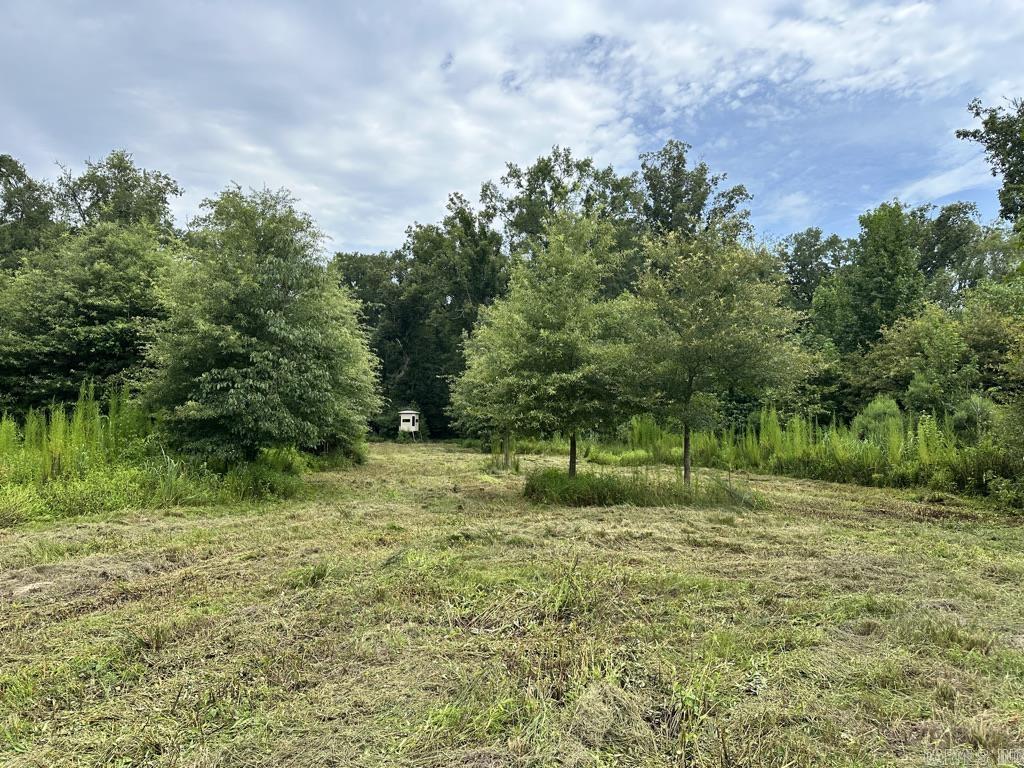 000 Hwy 98 South Highway Property Photo 6