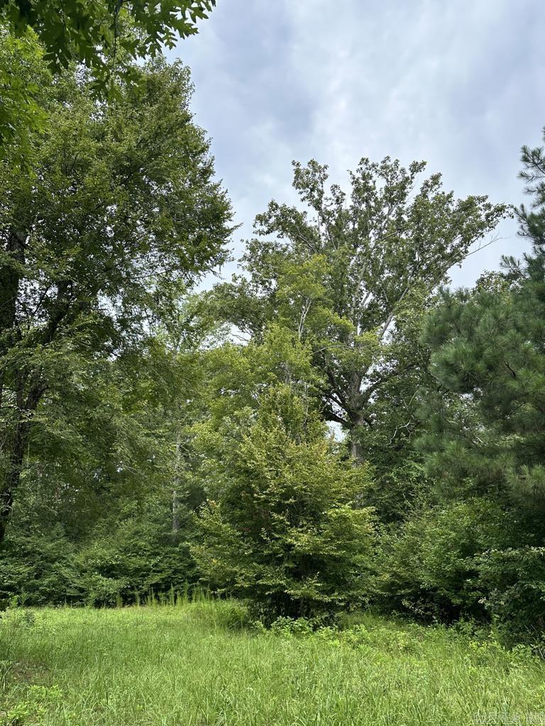 000 Hwy 98 South Highway Property Photo 8
