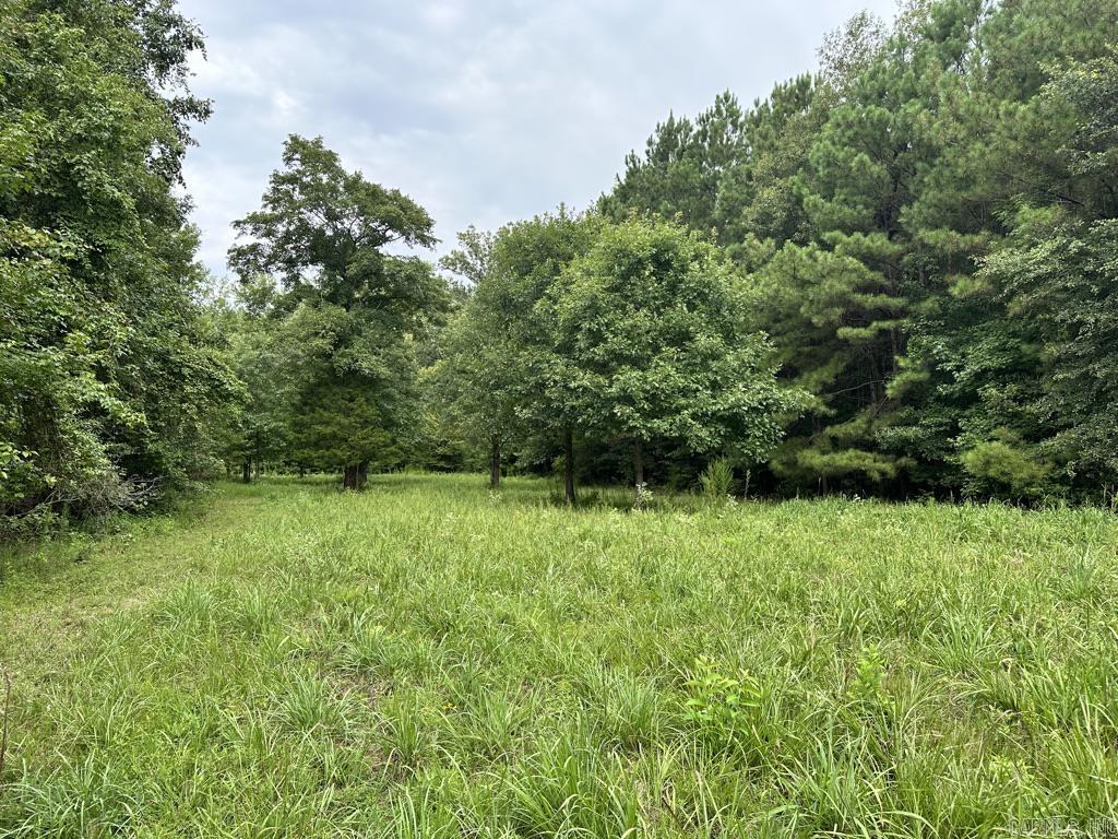 000 Hwy 98 South Highway Property Photo 12