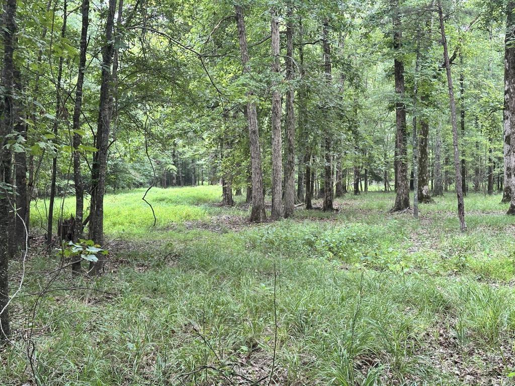 000 Hwy 98 South Highway Property Photo 14
