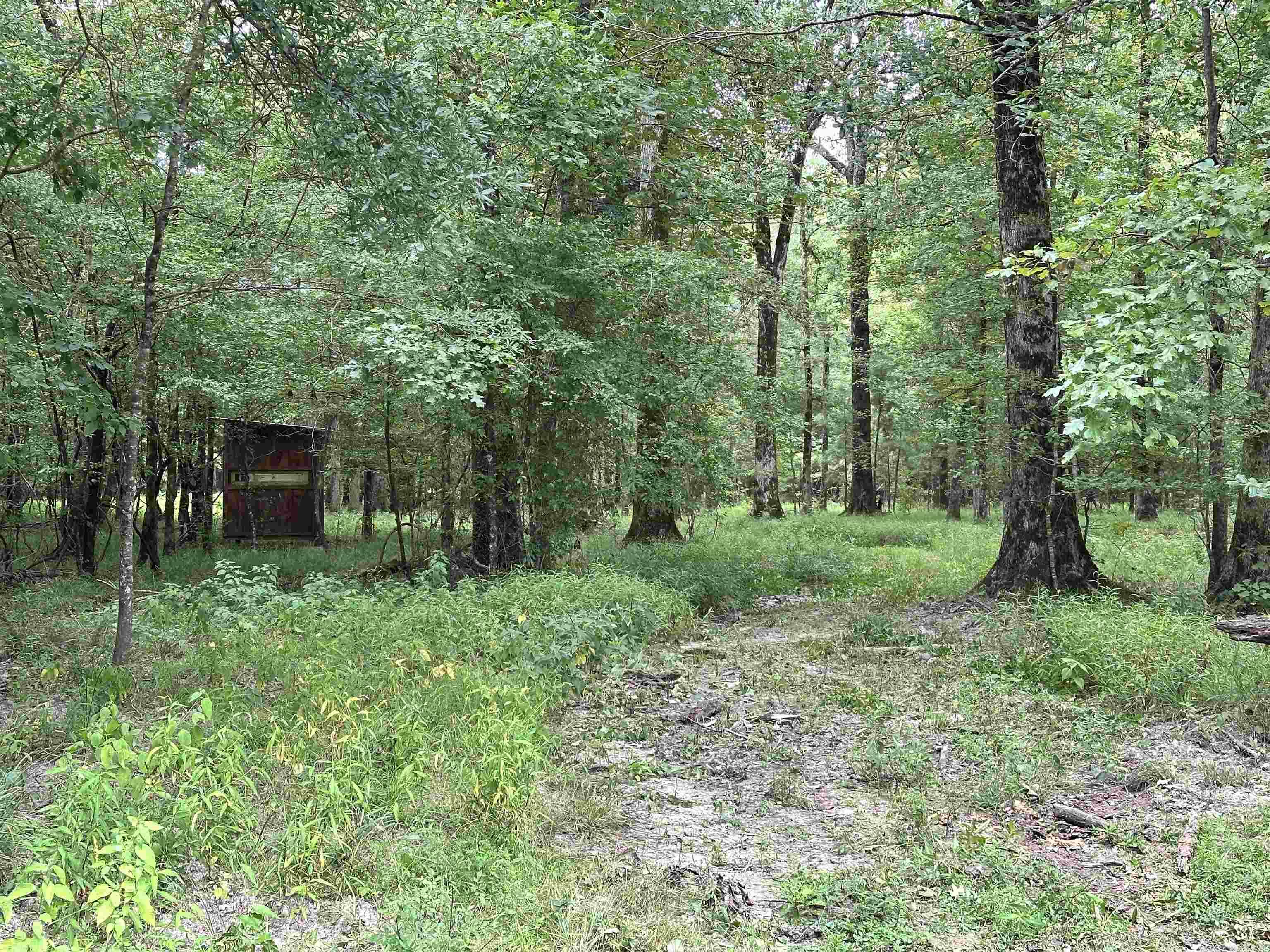 000 Hwy 98 South Highway Property Photo 17