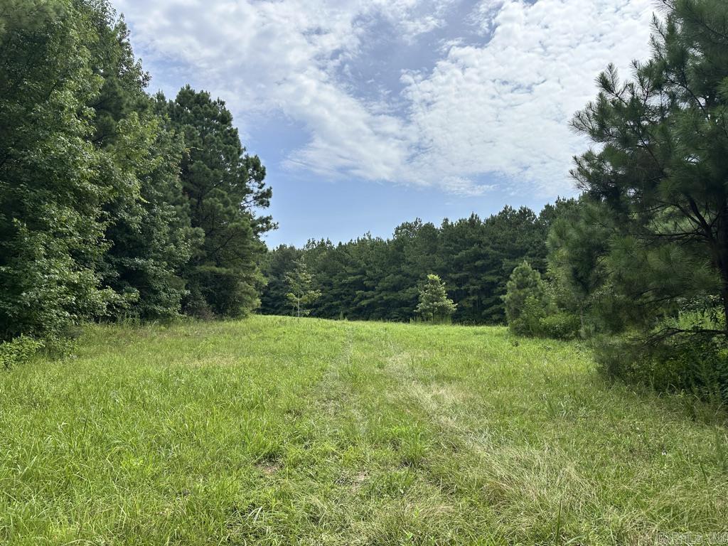 000 Hwy 98 South Highway Property Photo 18