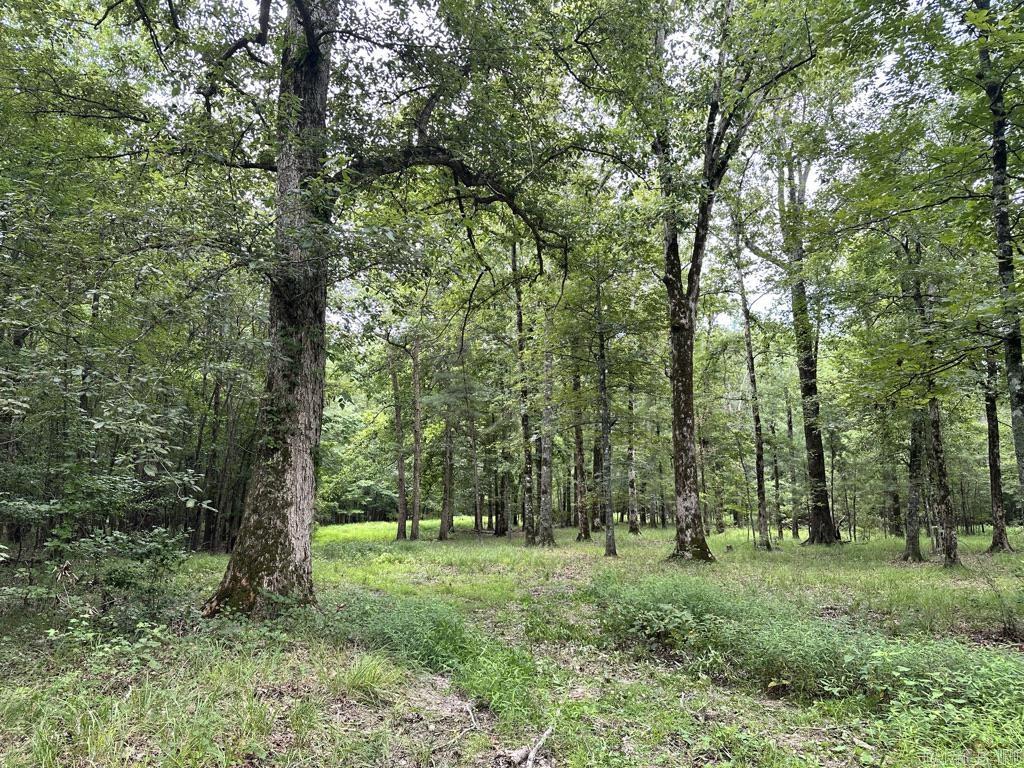000 Hwy 98 South Highway Property Photo 19
