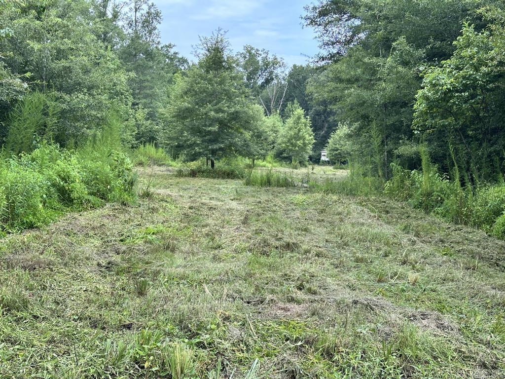 000 Hwy 98 South Highway Property Photo 20