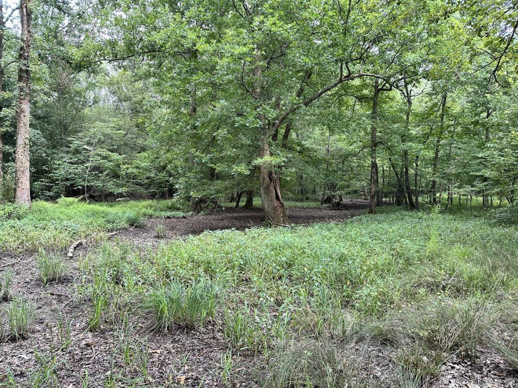 000 Hwy 98 South Highway Property Photo 21