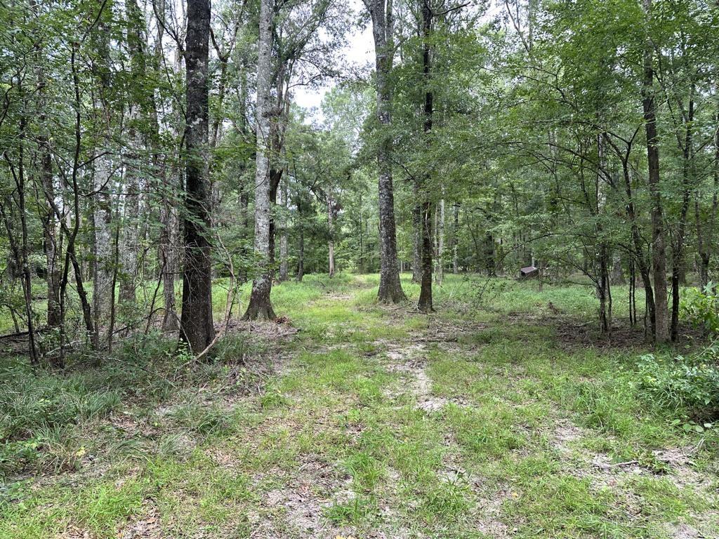 000 Hwy 98 South Highway Property Photo 24