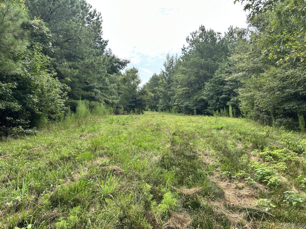 000 Hwy 98 South Highway Property Photo 25
