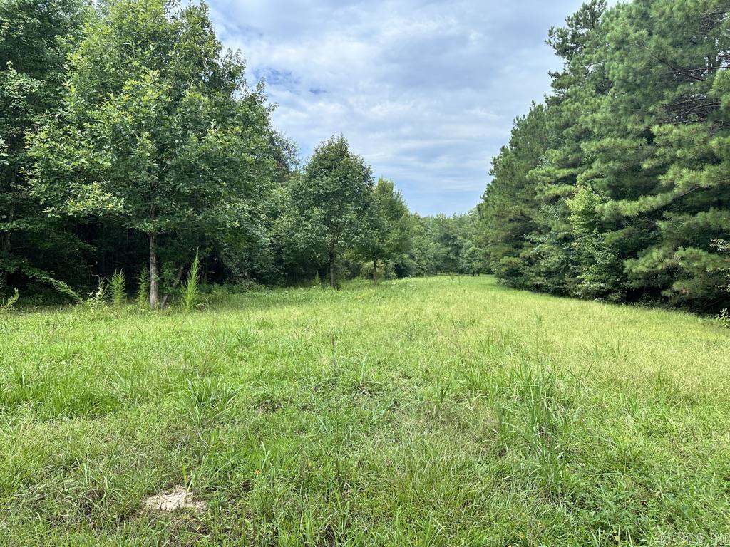 000 Hwy 98 South Highway Property Photo 26