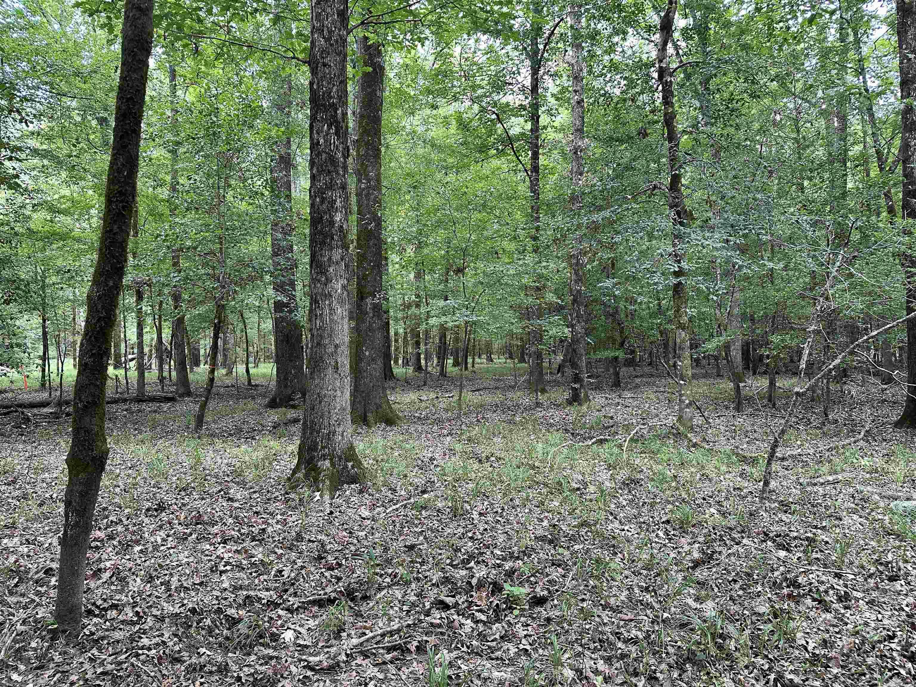 000 Hwy 98 South Highway Property Photo 29