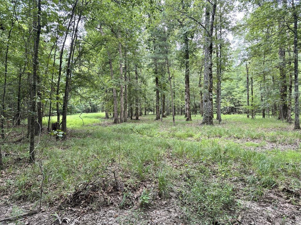 000 Hwy 98 South Highway Property Photo 30