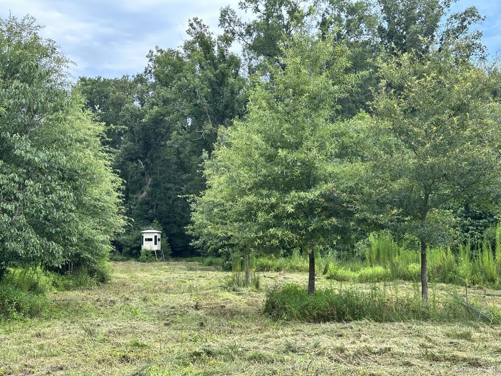 000 Hwy 98 South Highway Property Photo 32
