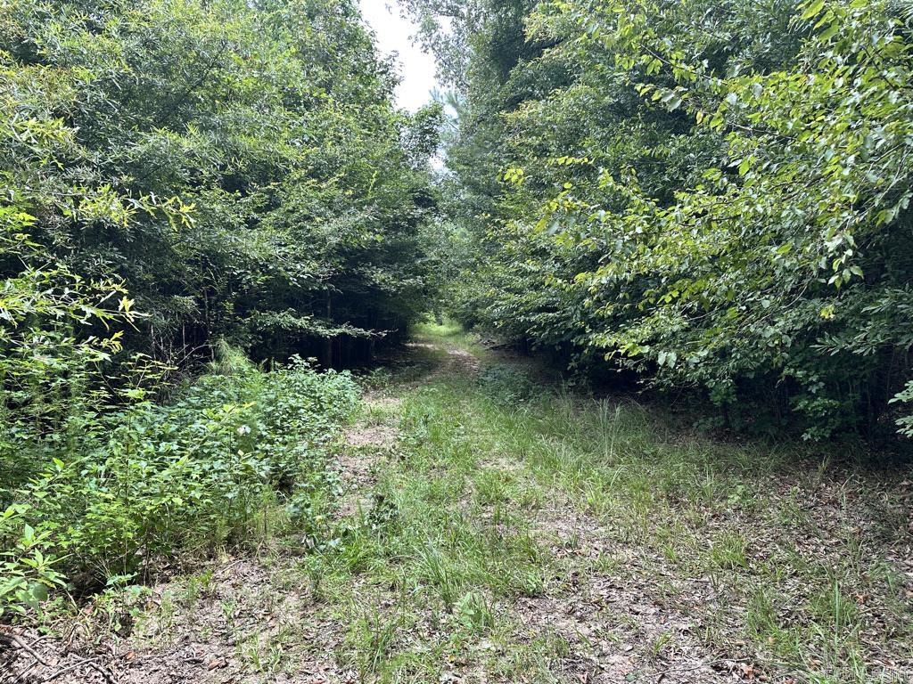 000 Hwy 98 South Highway Property Photo 33