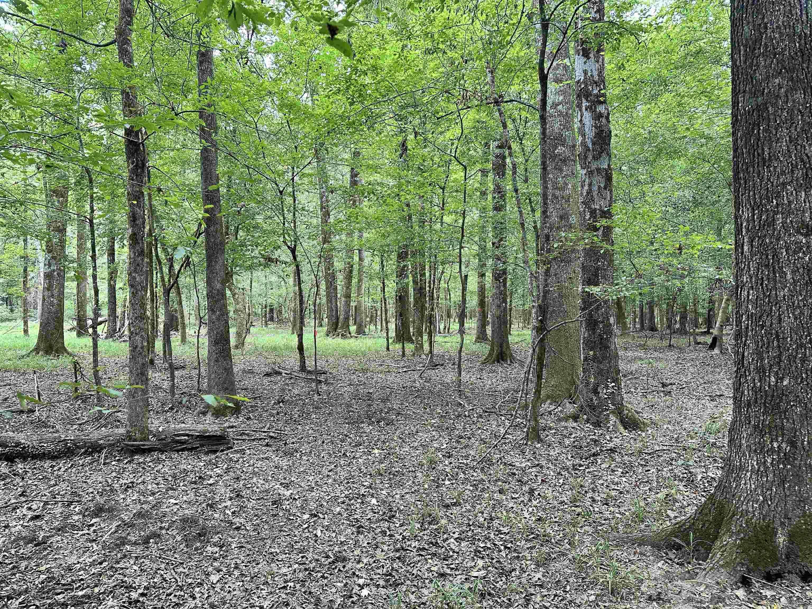 000 Hwy 98 South Highway Property Photo 34