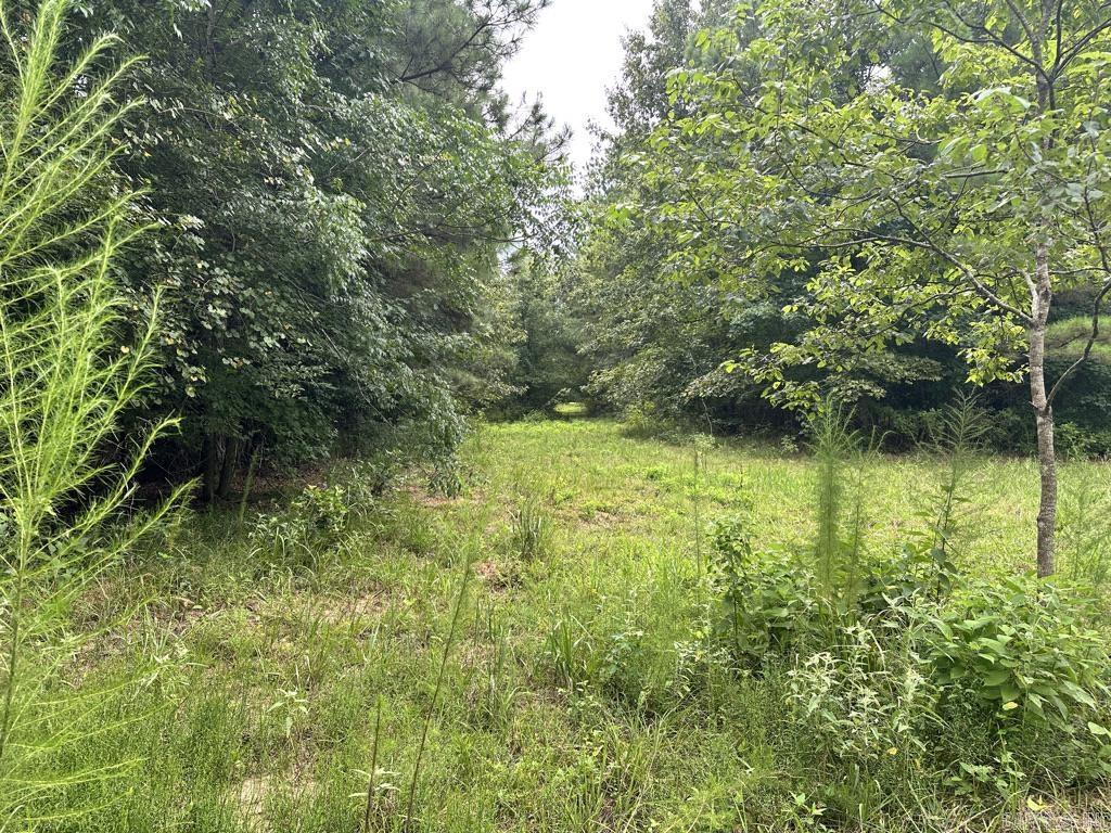 000 Hwy 98 South Highway Property Photo 37
