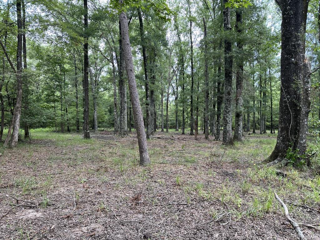 000 Hwy 98 South Highway Property Photo 38