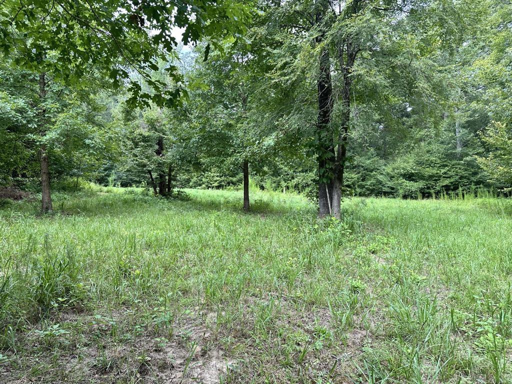 000 Hwy 98 South Highway Property Photo 41