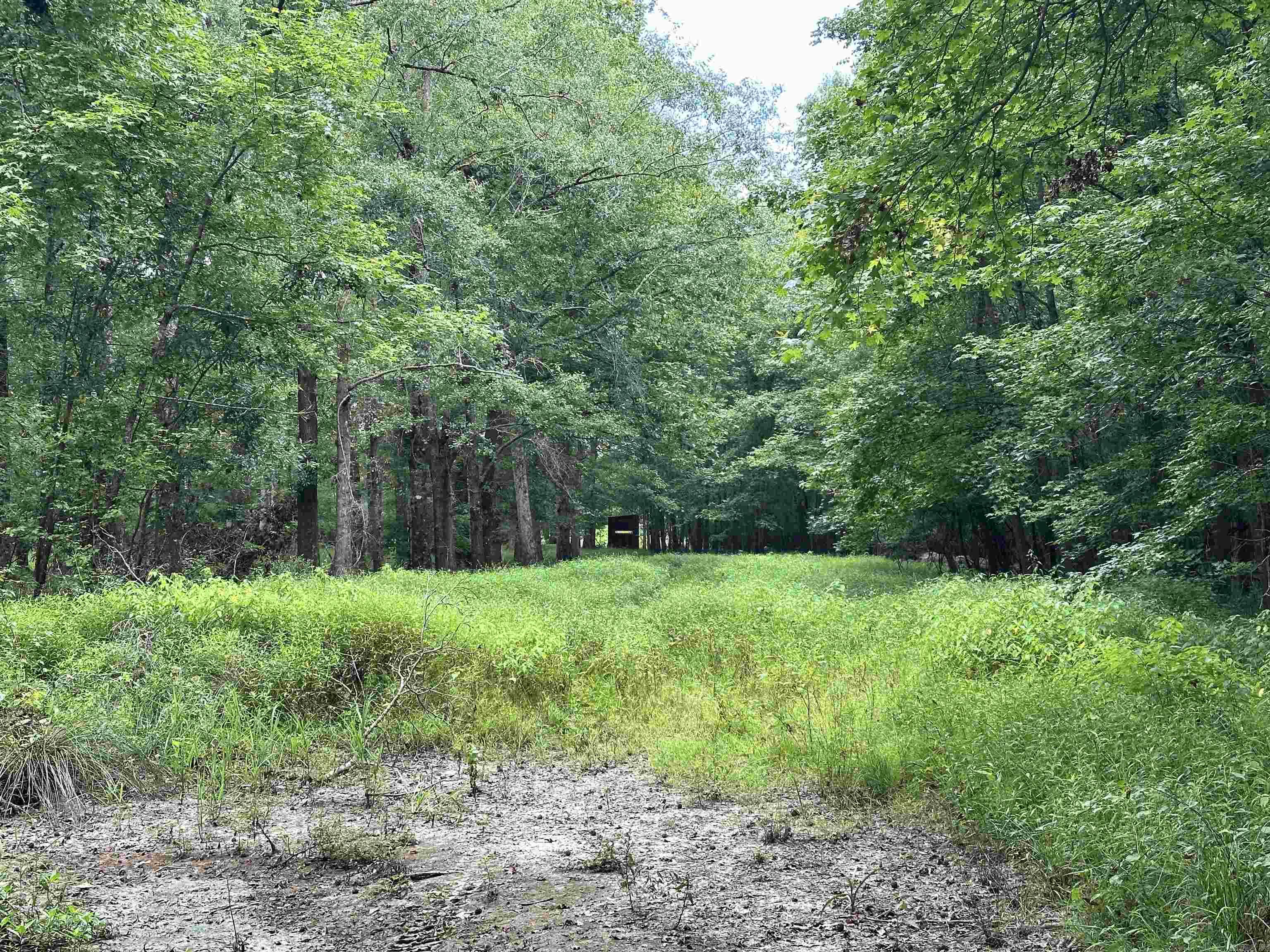000 Hwy 98 South Highway Property Photo 43