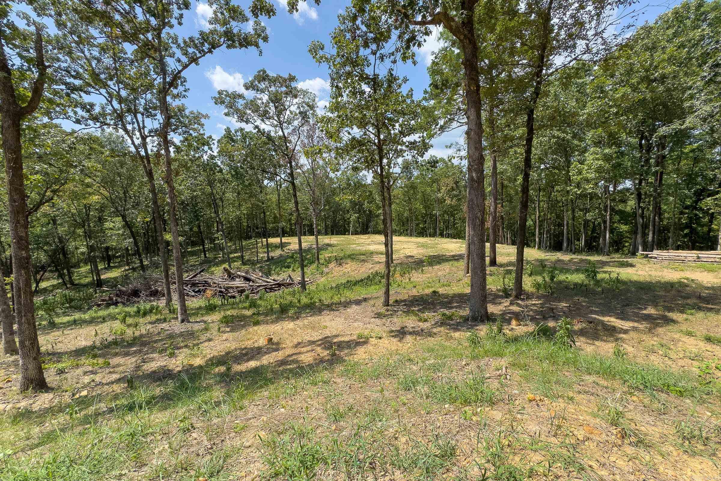 131 Osage Street Property Photo 9