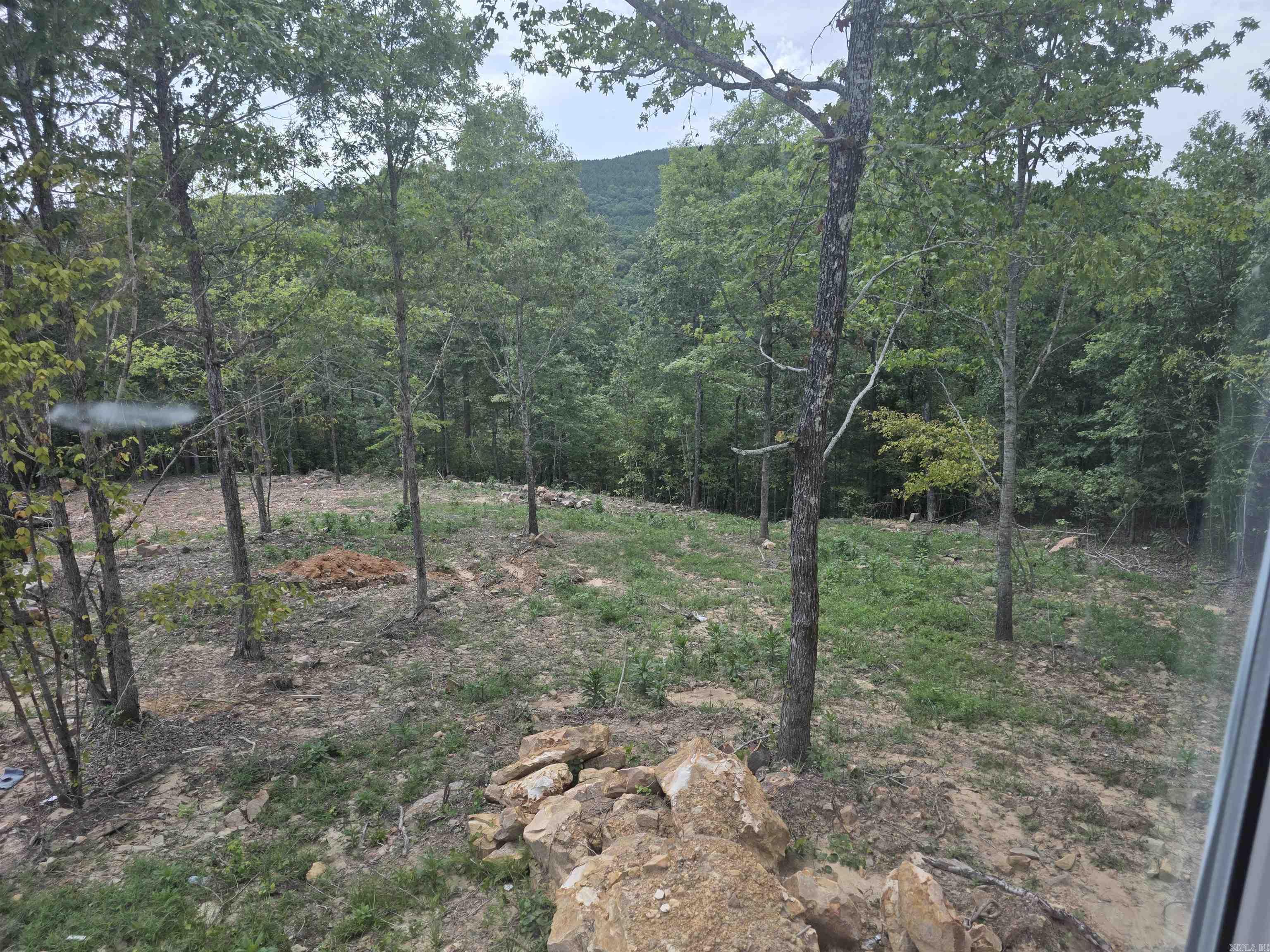 100 Scenic View Property Photo 7